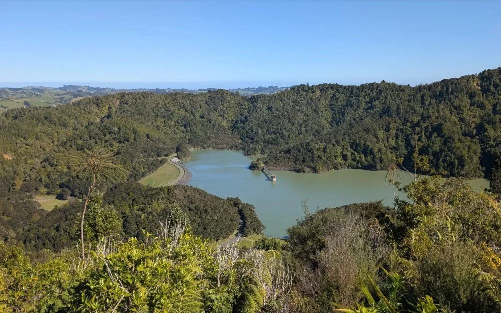 wairoa dam loop track 1.jpg