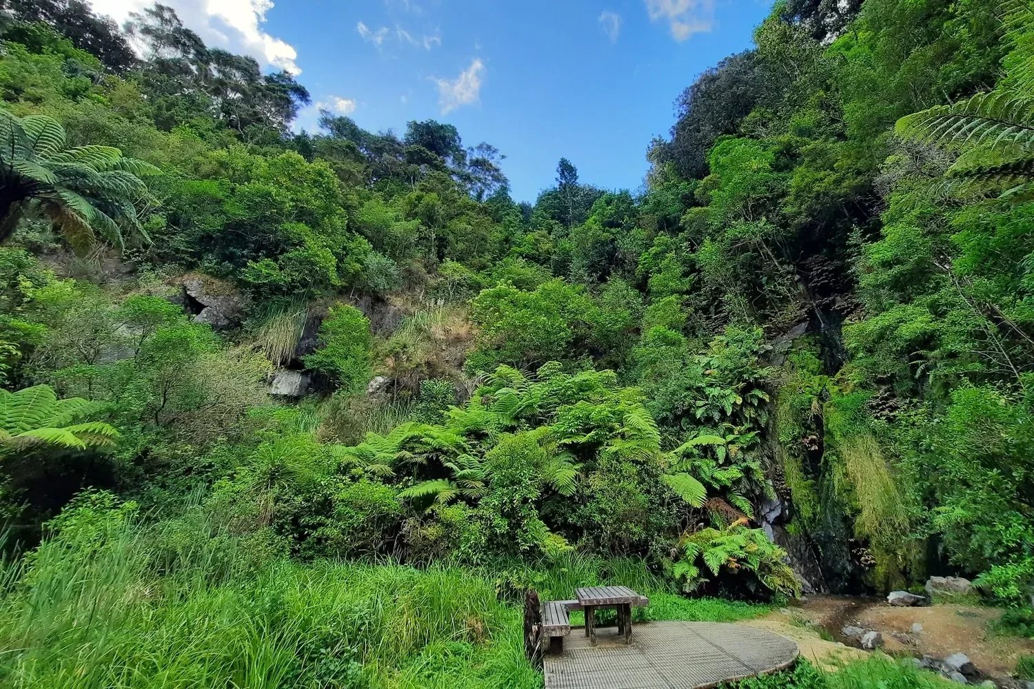 Clevedon Scenic Reserve Auckland Hiking Group for Women