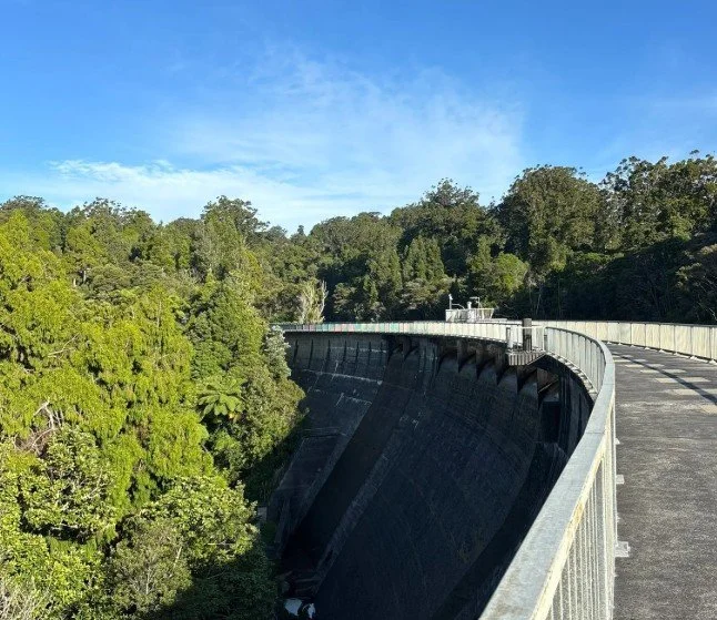 Waitakere Dam Track.jpg