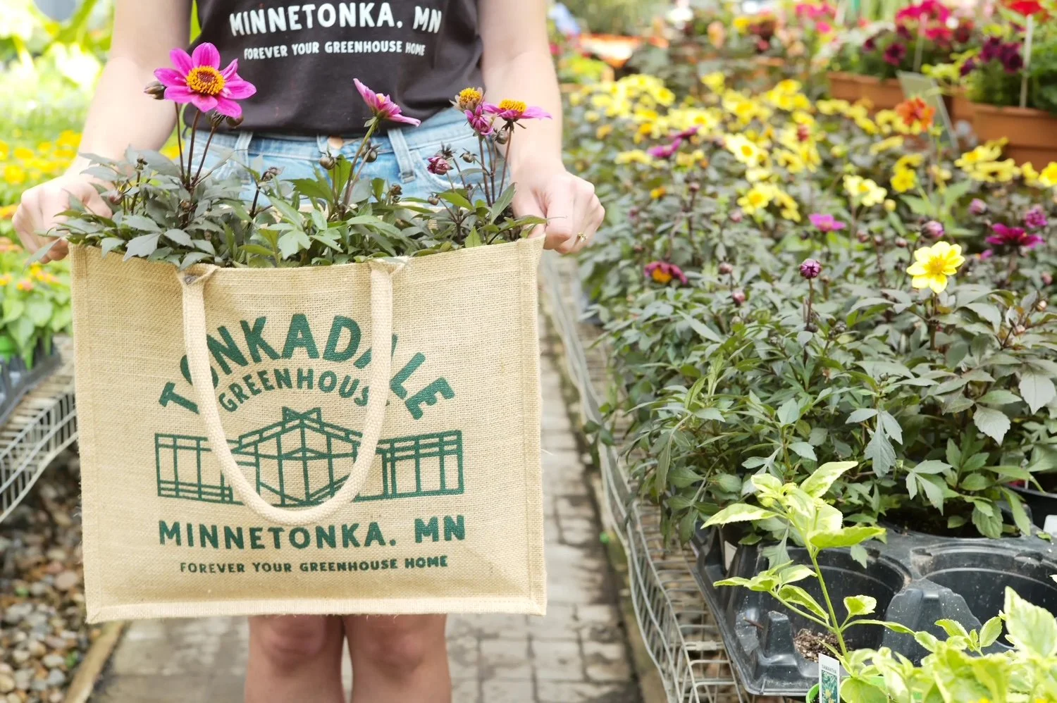 Tonkadale Greenhouse