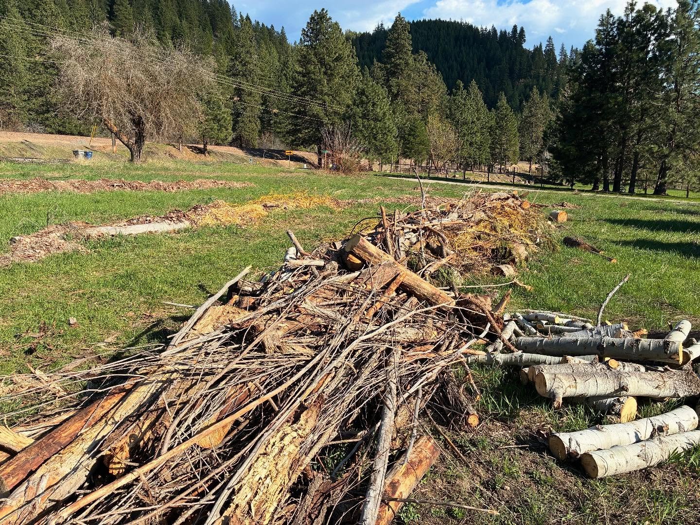 This week&rsquo;s project: Hugelkultur mounds! After collecting large amounts of woody material from around the site and off-site, I rented an excavator for a day and lasagna layered woody materials, then dirt, then wood, then dirt. Starting about 2 