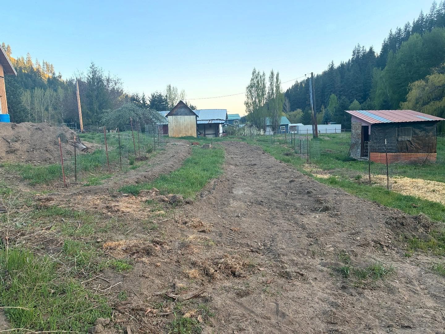 This week&rsquo;s project: Terraces built into the hillside, seeded with cover crop, mulched with a neighbor&rsquo;s goat poop/hay bedding, and planted with fruit and nut trees/shrubs. One terrace is an experiment in just cover crop seed alone, the o