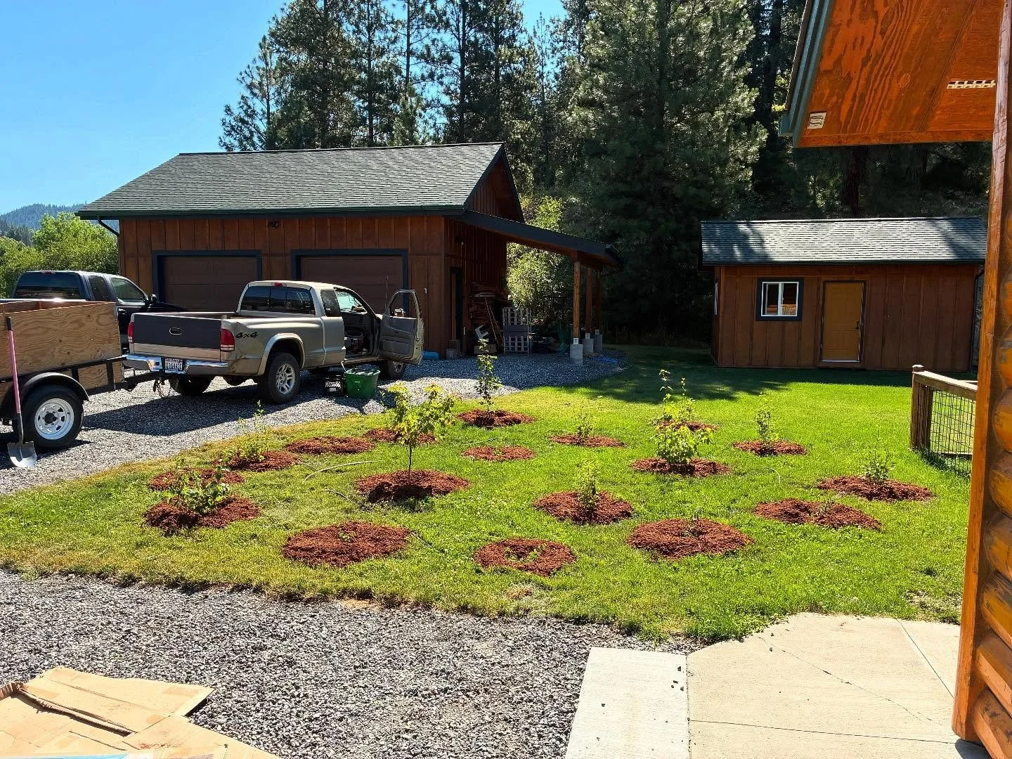 This week’s project: a lil living privacy hedge for a client’s front yard to create a buffer between them and their neighbors. Nothing too fancy here, just 19 native plants from Derby Canyon Natives, some woodchip mulch, some drip irrigat