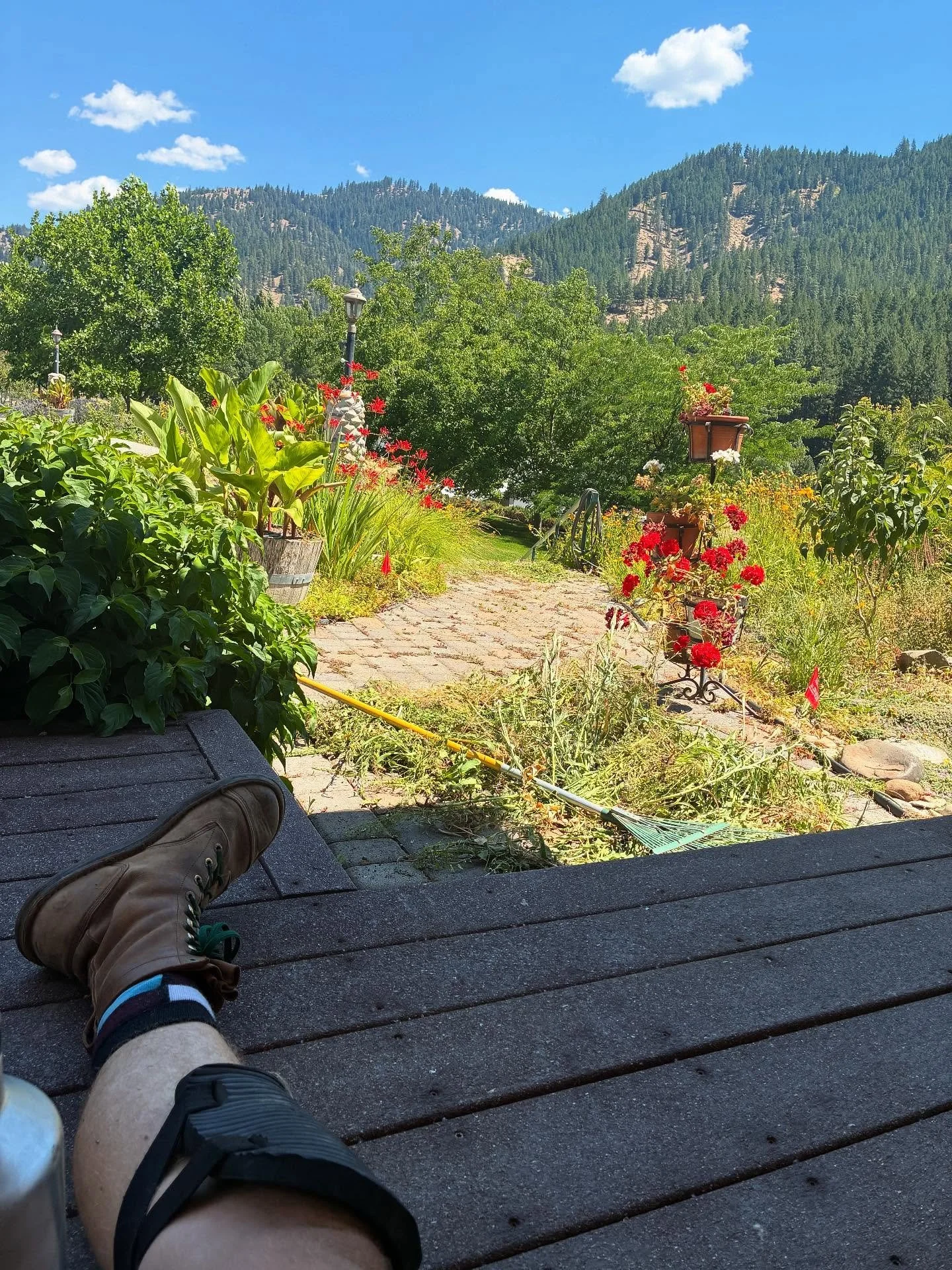 Today’s project: pulling weeds. Generally I don’t like weeding, but, it’s something people want to pay for, and I can make use of the removed plants. 
Here’s my hypercondensed explanation of weeds: weeds are plants that you d