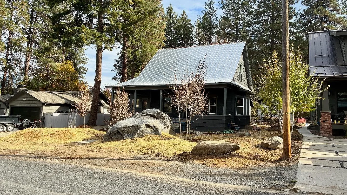 This week’s project: A “rain/snow garden”, channeling roof runoff to sunken water retention basins planted with various native, climate-adapted, and edible plants, seeded with 19 varieties of native wildflowers, and then covered wit