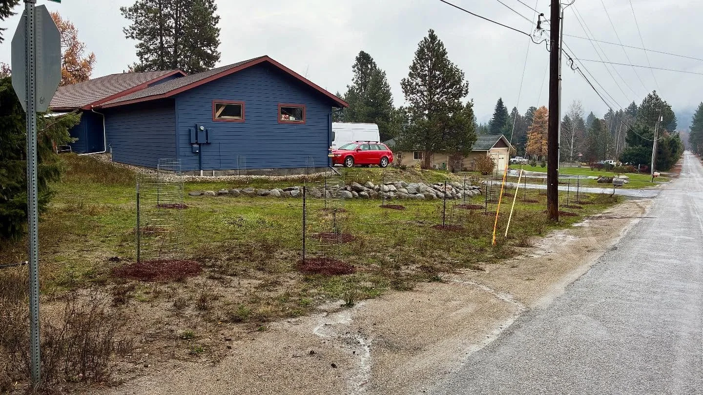 Deer fencing, grey skies, leafless trees&hellip;..the recipe for exquisite landscape business marketing photography. But alas, I will share the images from this recent project! 20 native trees and shrubs, mixed sizes, shapes, berries, seeds, colors, 