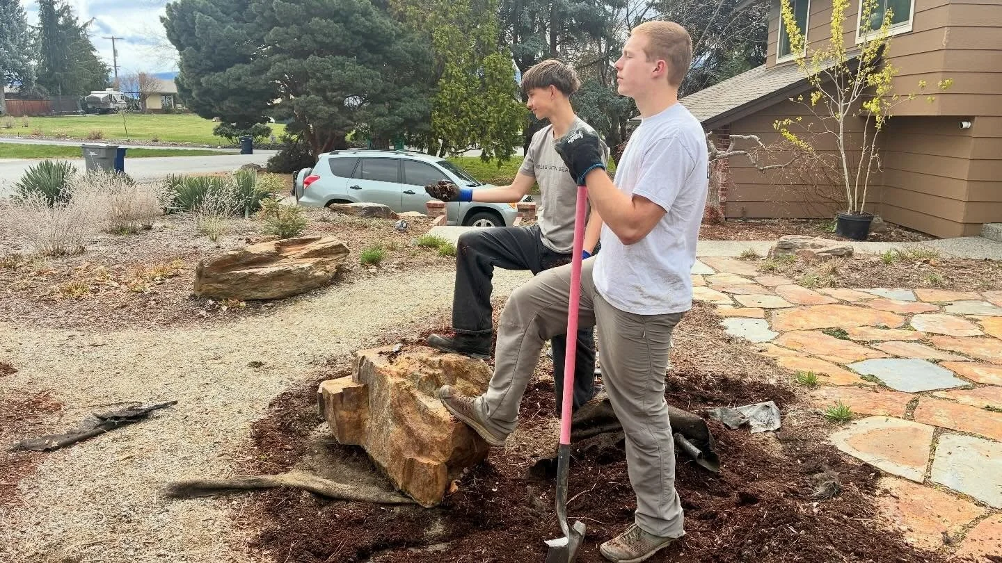 Today&rsquo;s project: A collaborative effort with two of Cascade High School&rsquo;s basketball players to remove landscape fabric from between all the plants in this landscape in preparation for the planting of 50+ native plants. 

Why get rid of a
