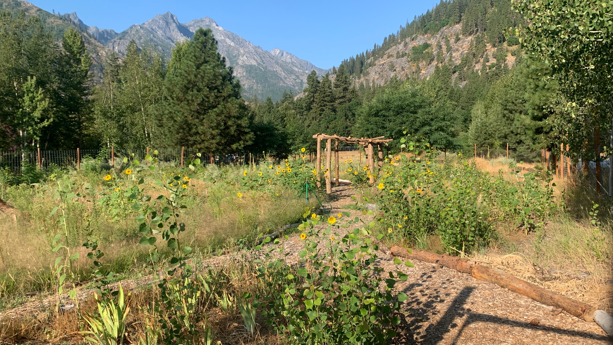 Sleeping Lady Food Forest and Greenhouse