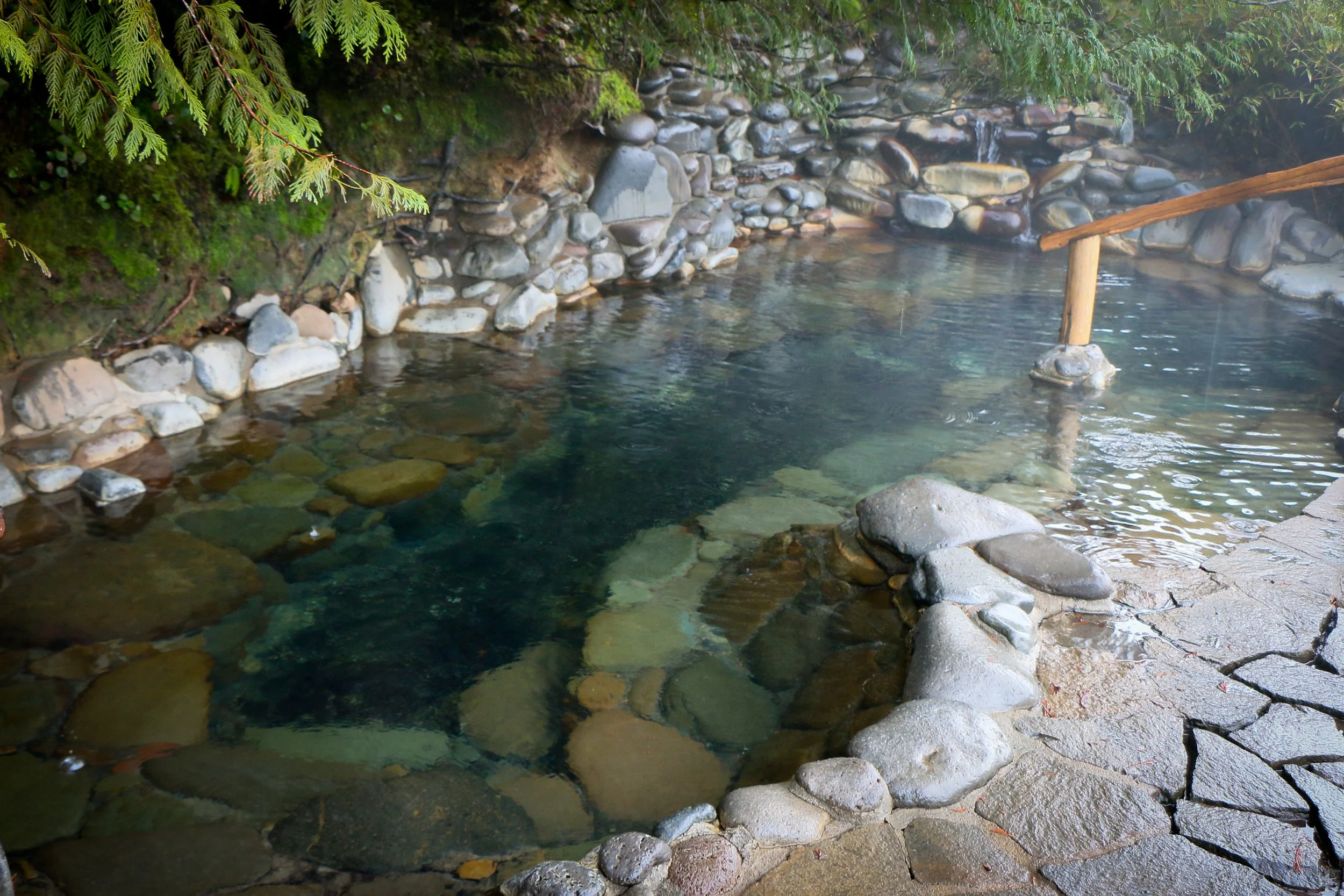 Photo_ middle meadow pool.jpg