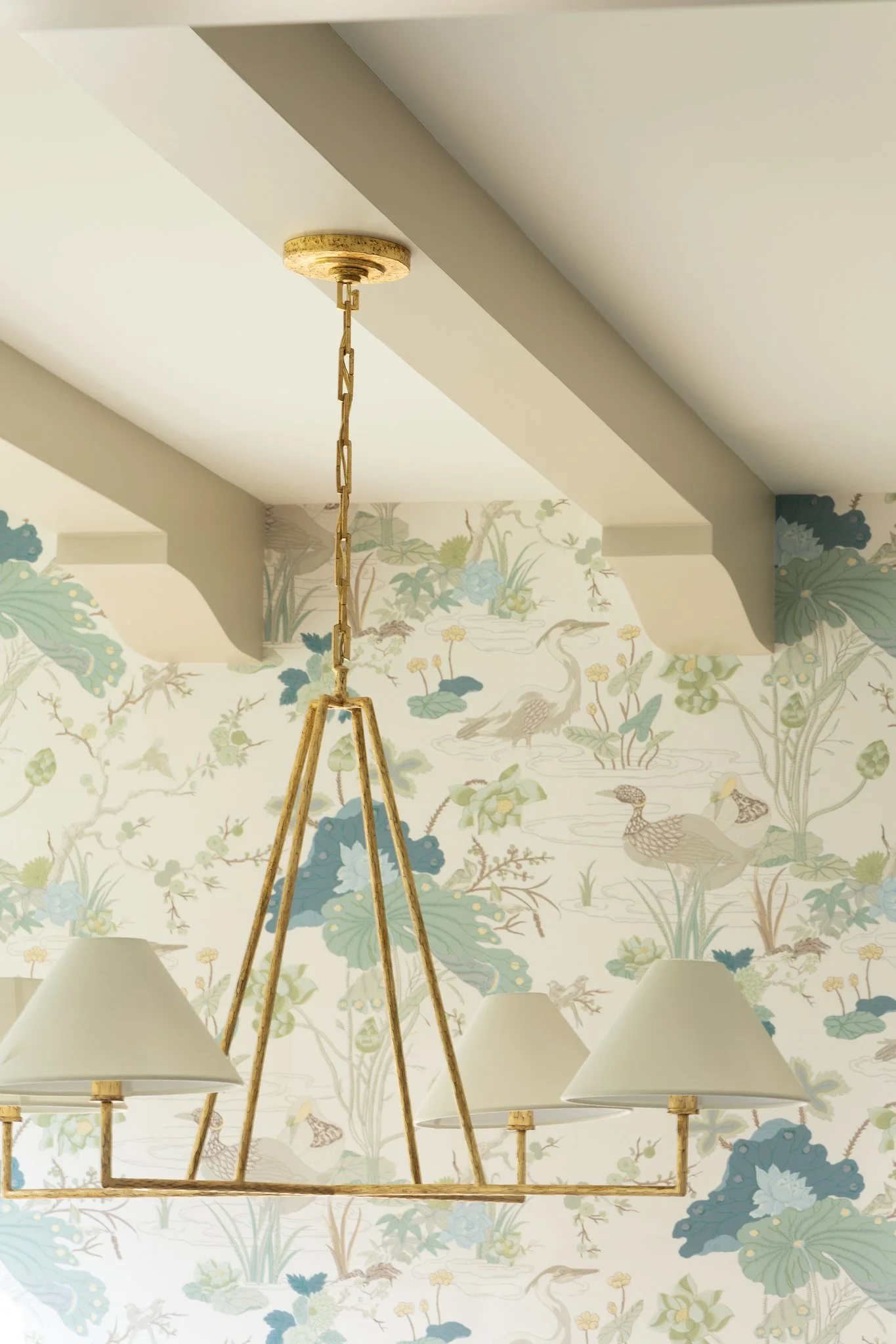 Detail of Dining Room Light fixture