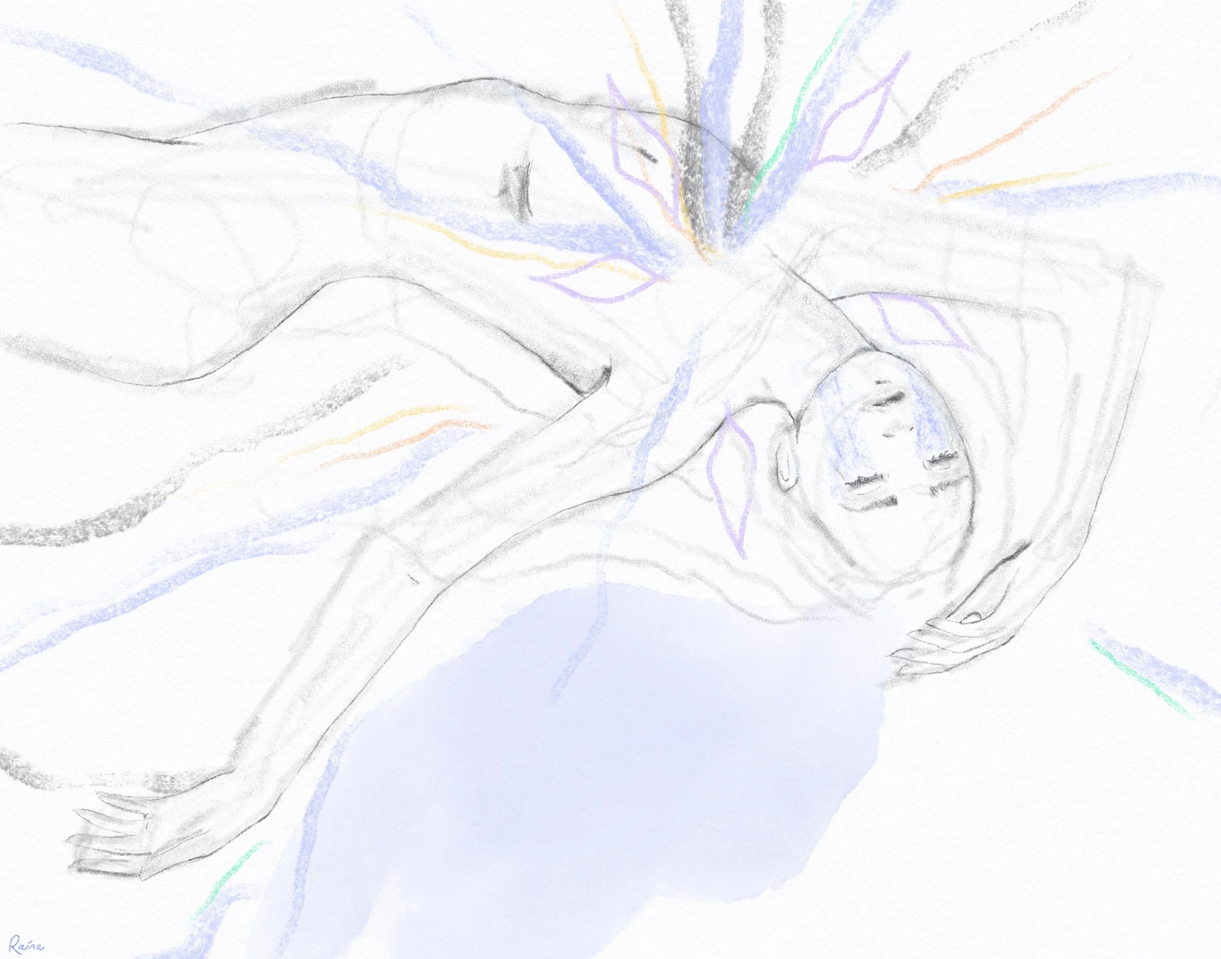 Artwork by Raine Schweikert of a softly sketched human figure lying horizontally with eyes closed, one arm stretched outward and the other resting over their head. From the center of the chest, branching lines in blue, purple, yellow, and orange radi