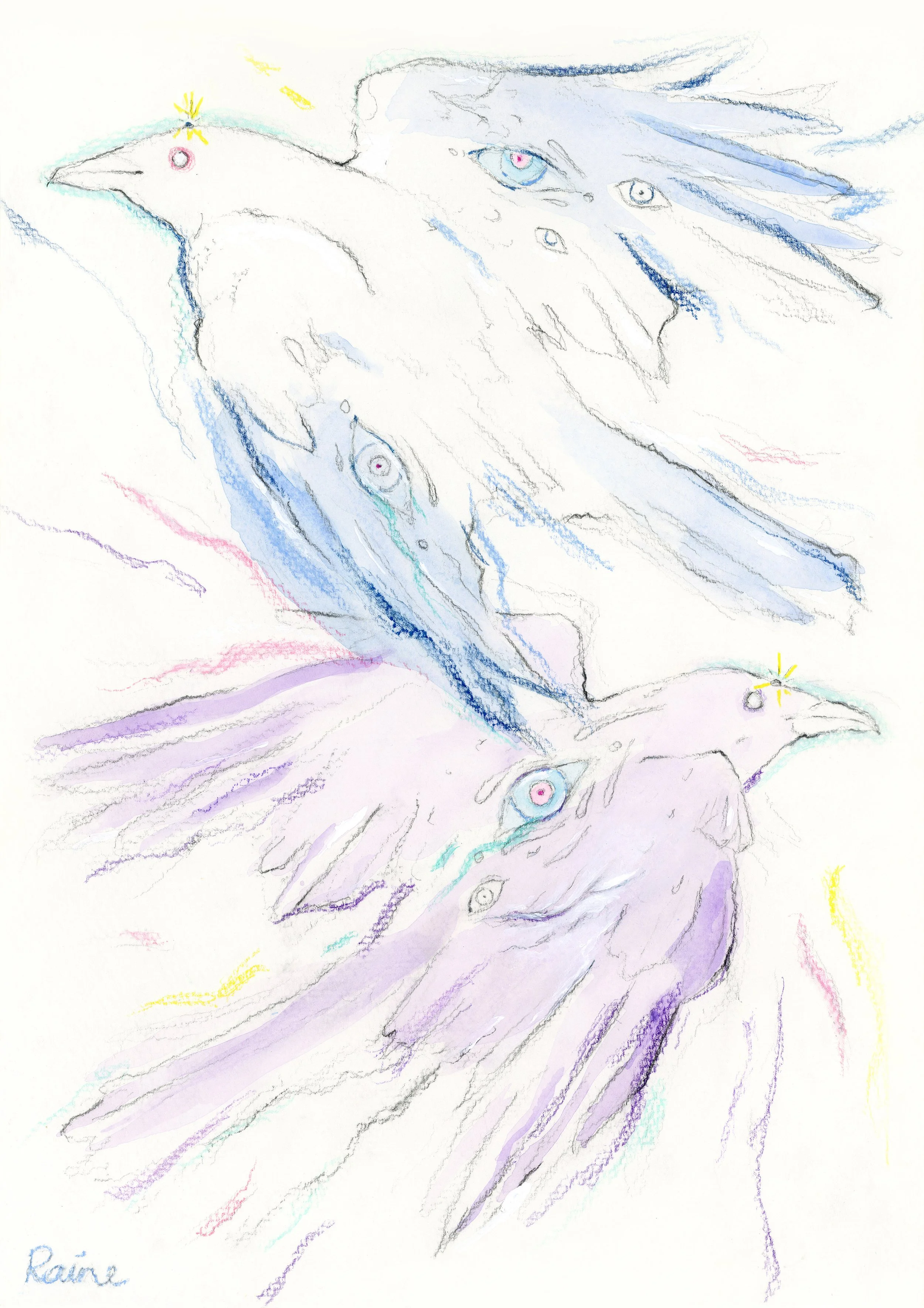 Artwork by Raine Schweikert depicting two ethereal crows in flight, rendered in watercolor, graphite, colored pencil, and subtle white acrylic highlights on white paper. Multiple detailed, open eyes are embedded within their wings and bodies, while s