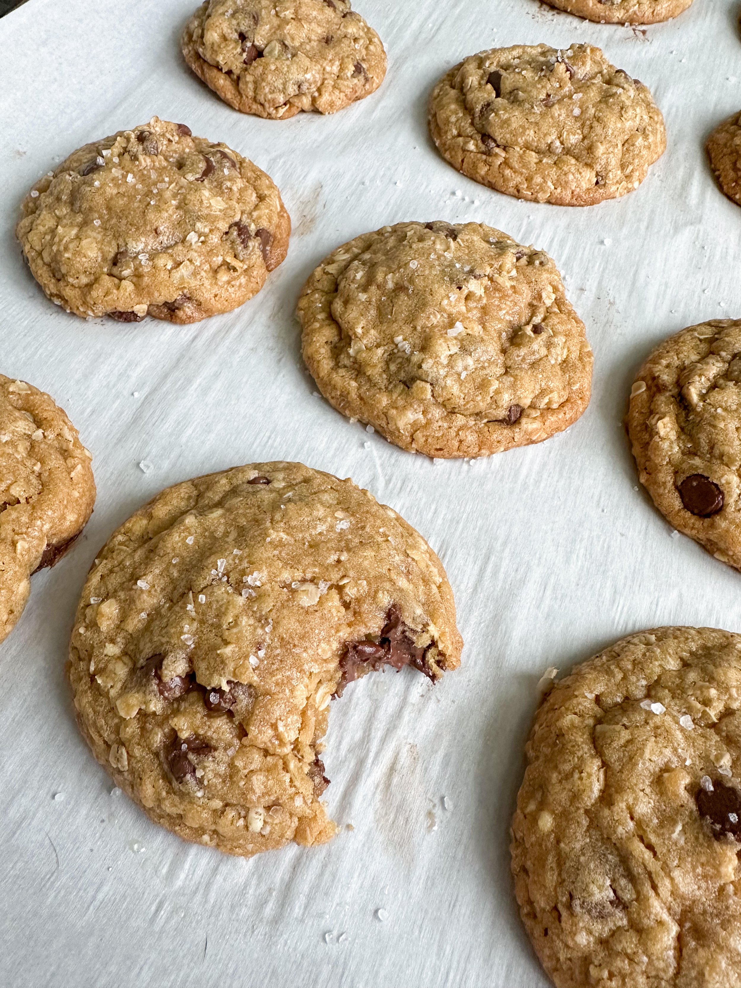 Oatmeal Chocolate Chip