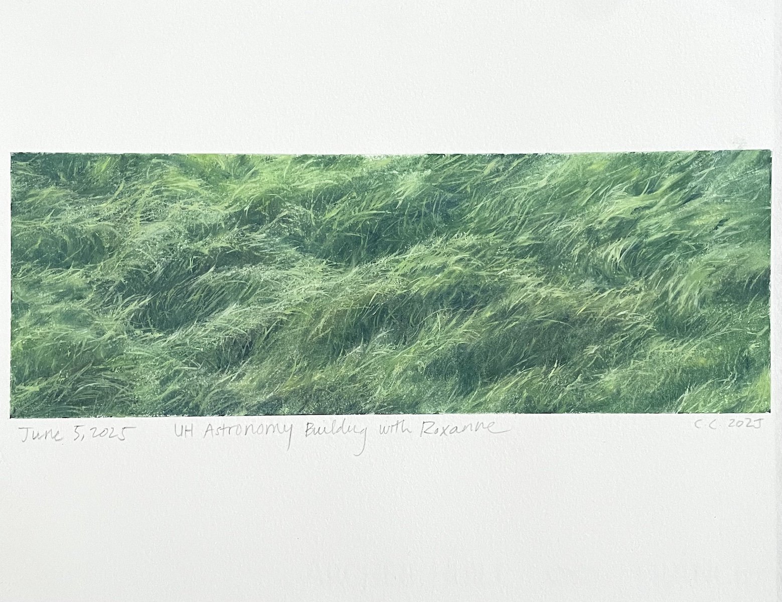 touch grass 1.jpg