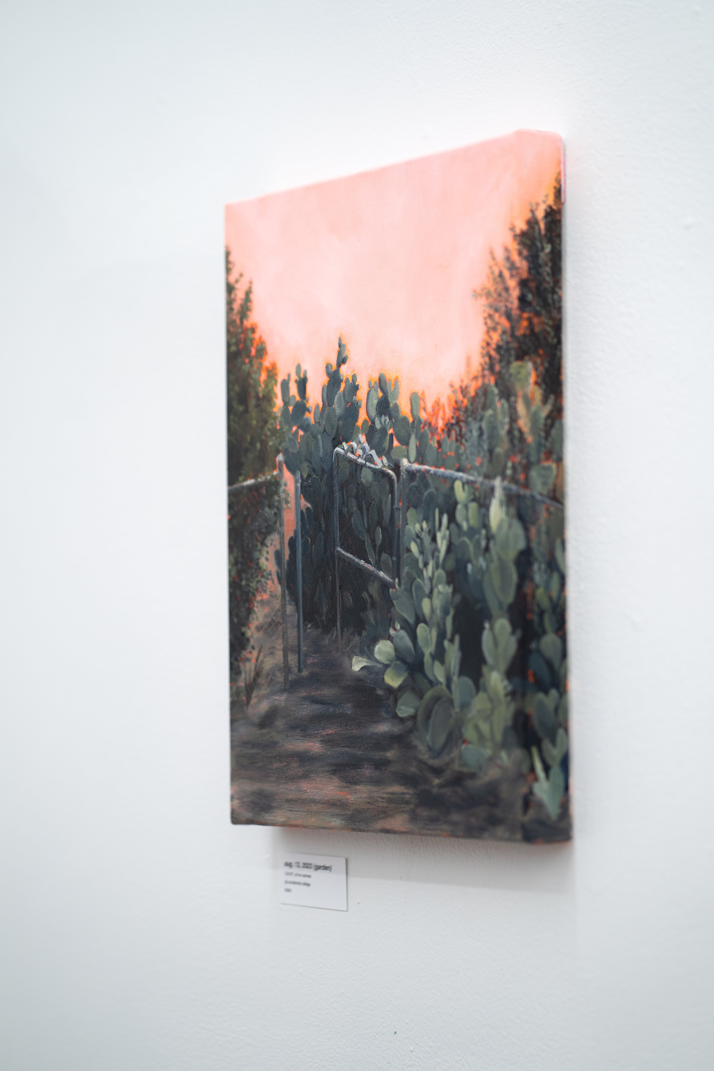 11.25.23 Stupid Little Walks Opening-06.jpg