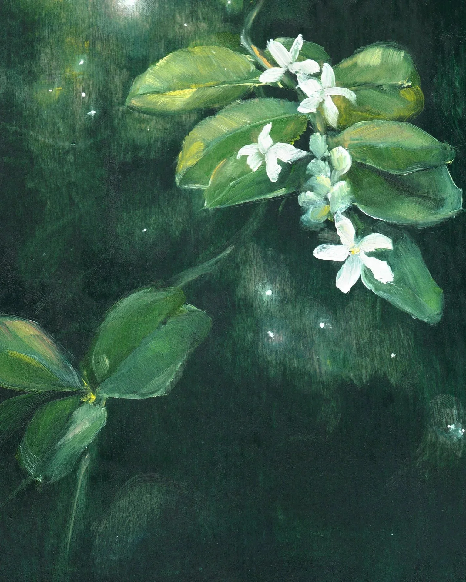 Closeup+1.jpg