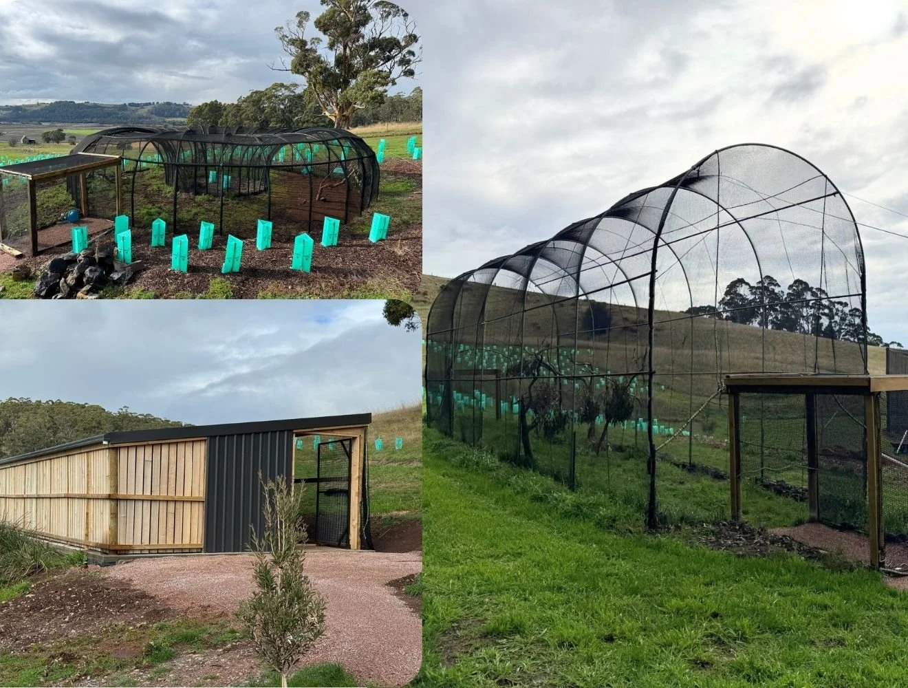 Additional Raptor Facilities including Critical Care.jpg