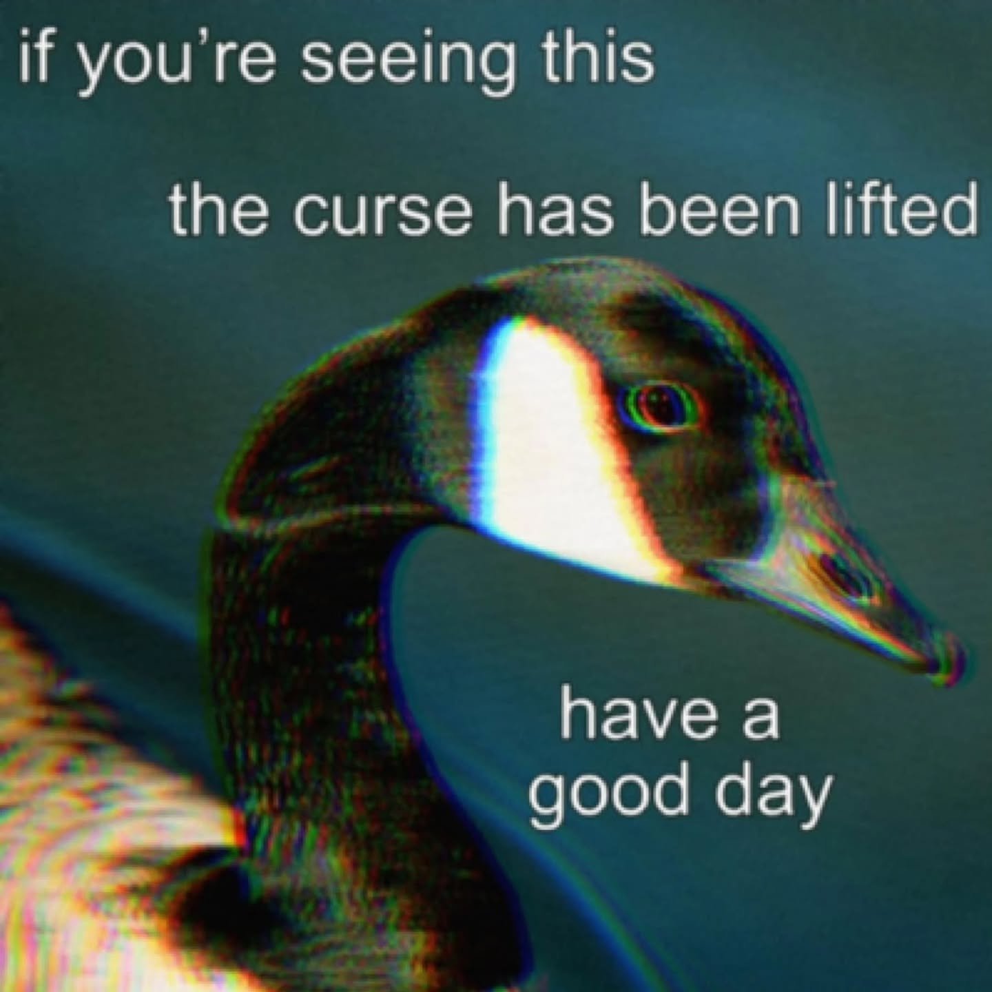 Tomorrow! Have you ever paused to reflect and invite your lineage to offer the reasons (contracts) that certain patterns in your life seem to occur? What about your helping spirits? What about meditating on the actions and relationships of your famil