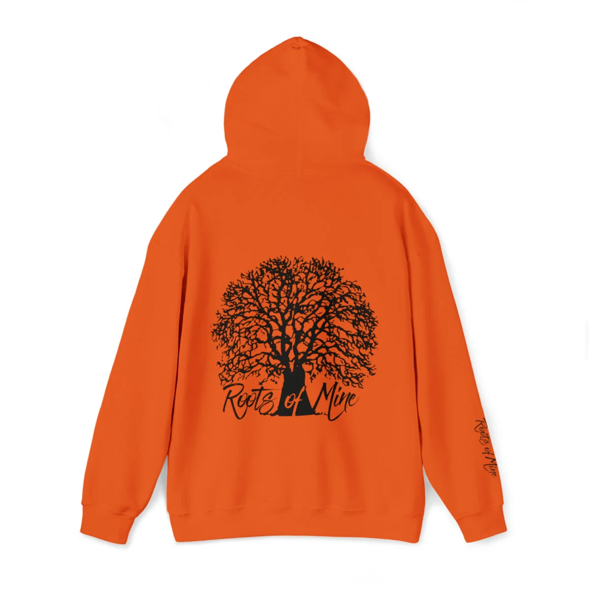 9fe0652b536a065a68f9f8487fd25575