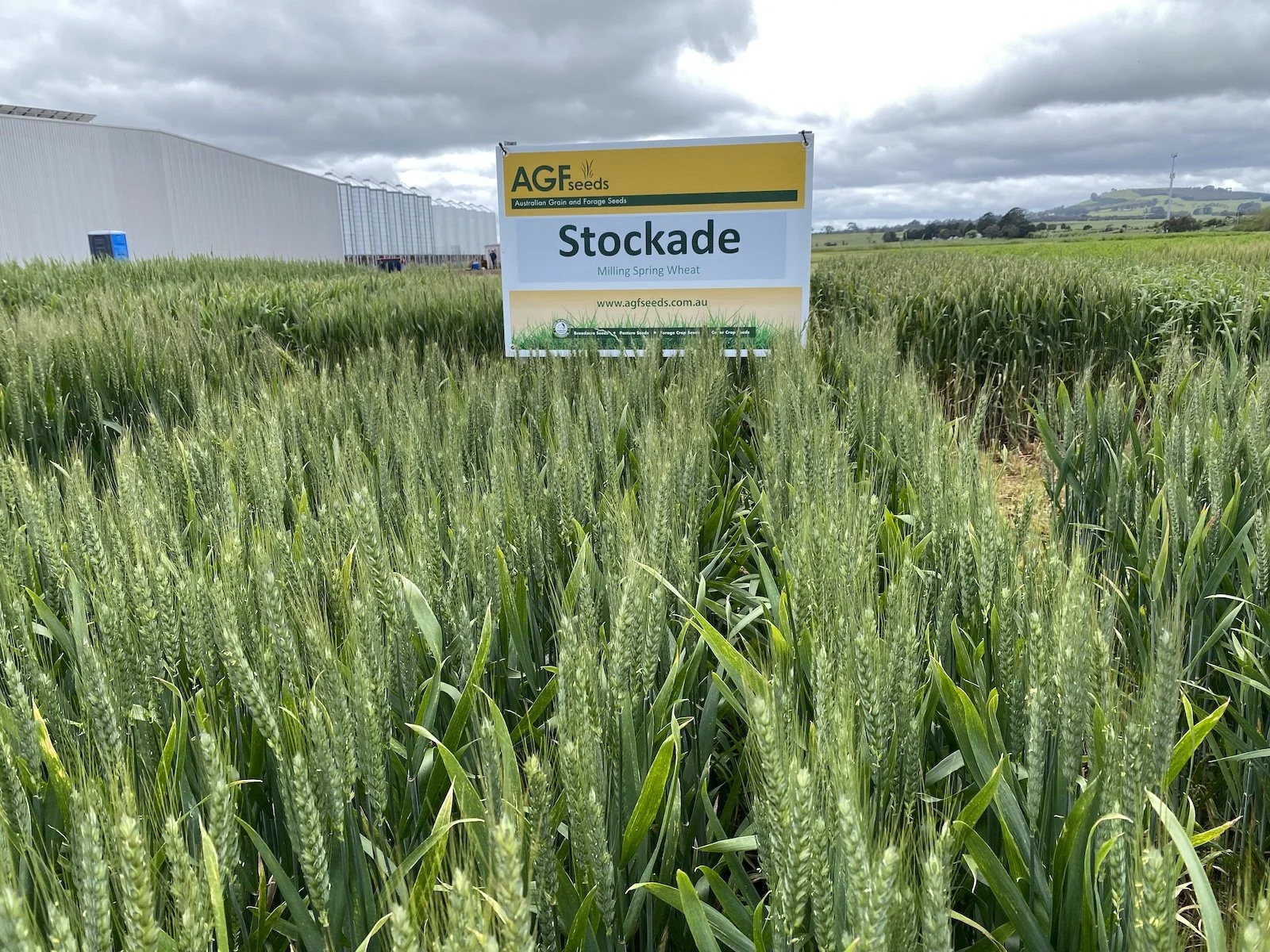 LongReach Plant Breeders