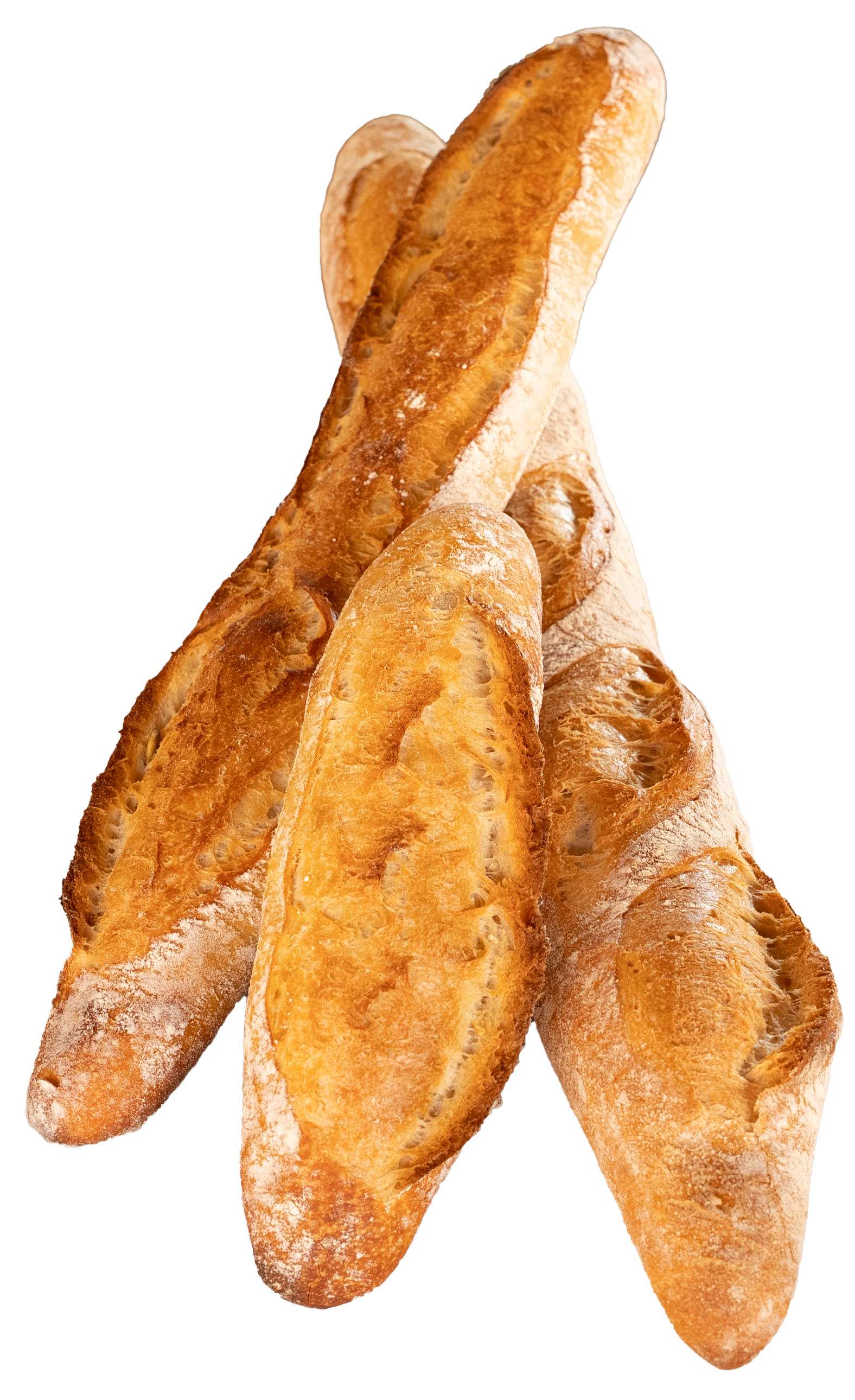 Baguette + Sourdough Baguette