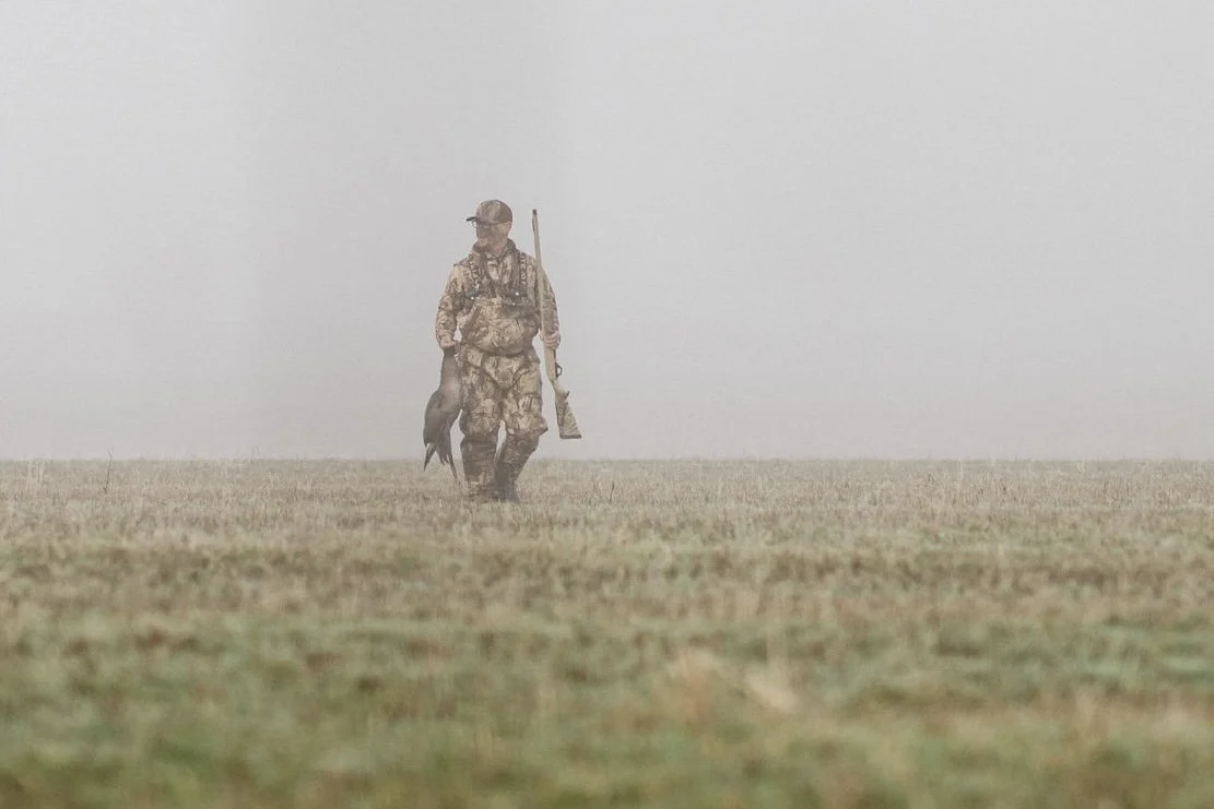 Foggy morning