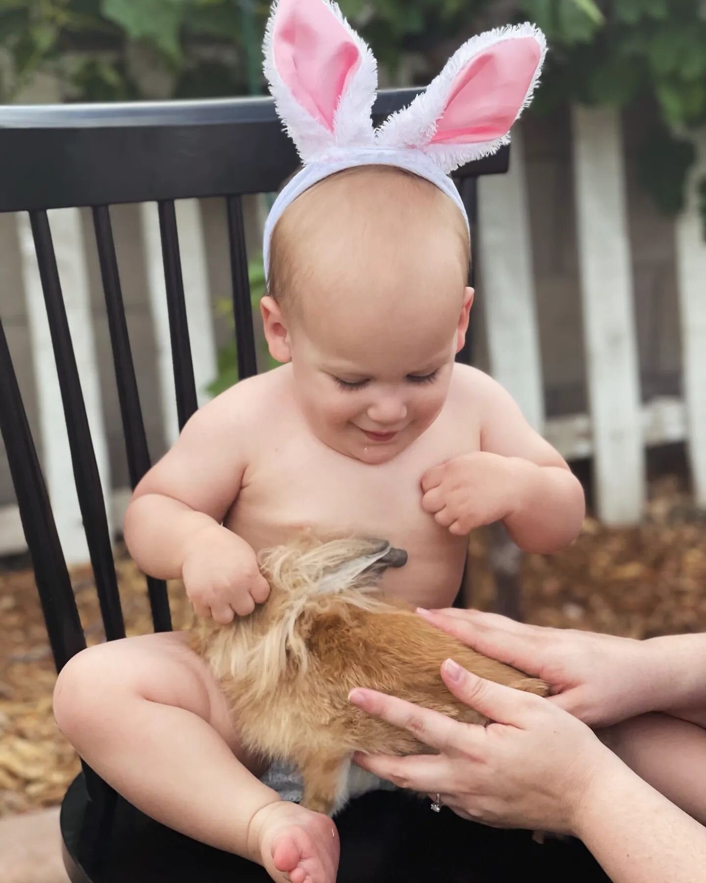 Take your Easter photos at Baby Bear this Saturday! We have an adorable Springtime setup with a real Bunny 🐰 plus face painting, make a windchime, and carrot cake pops 🥕 Get your tickets online at www.BabyBearAZ.com
