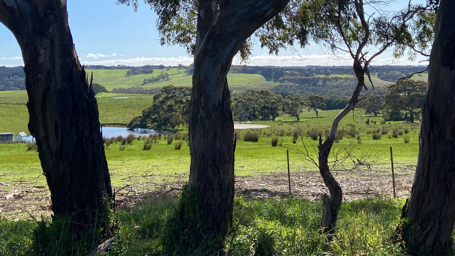 About Spring Creek Valley — Spring Creek Valley