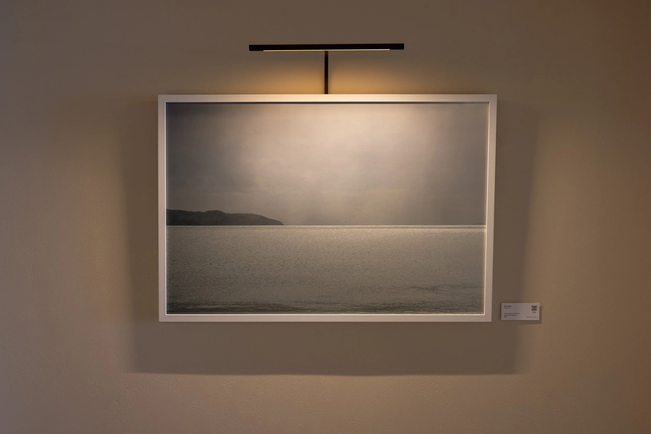 22MxKBB-SilverLining-36x24.jpg
