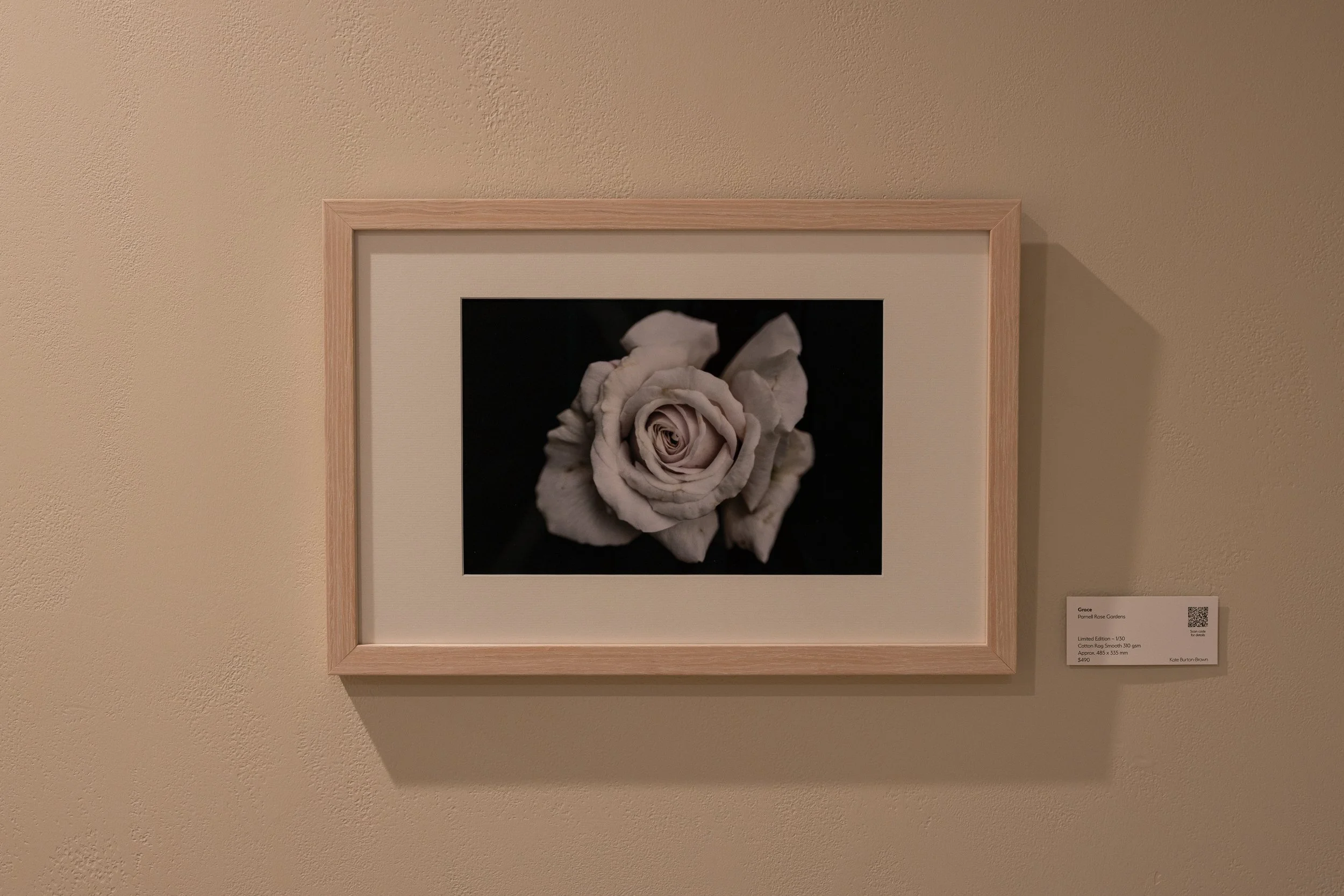 22MxKBB-Grace-18x12.jpg