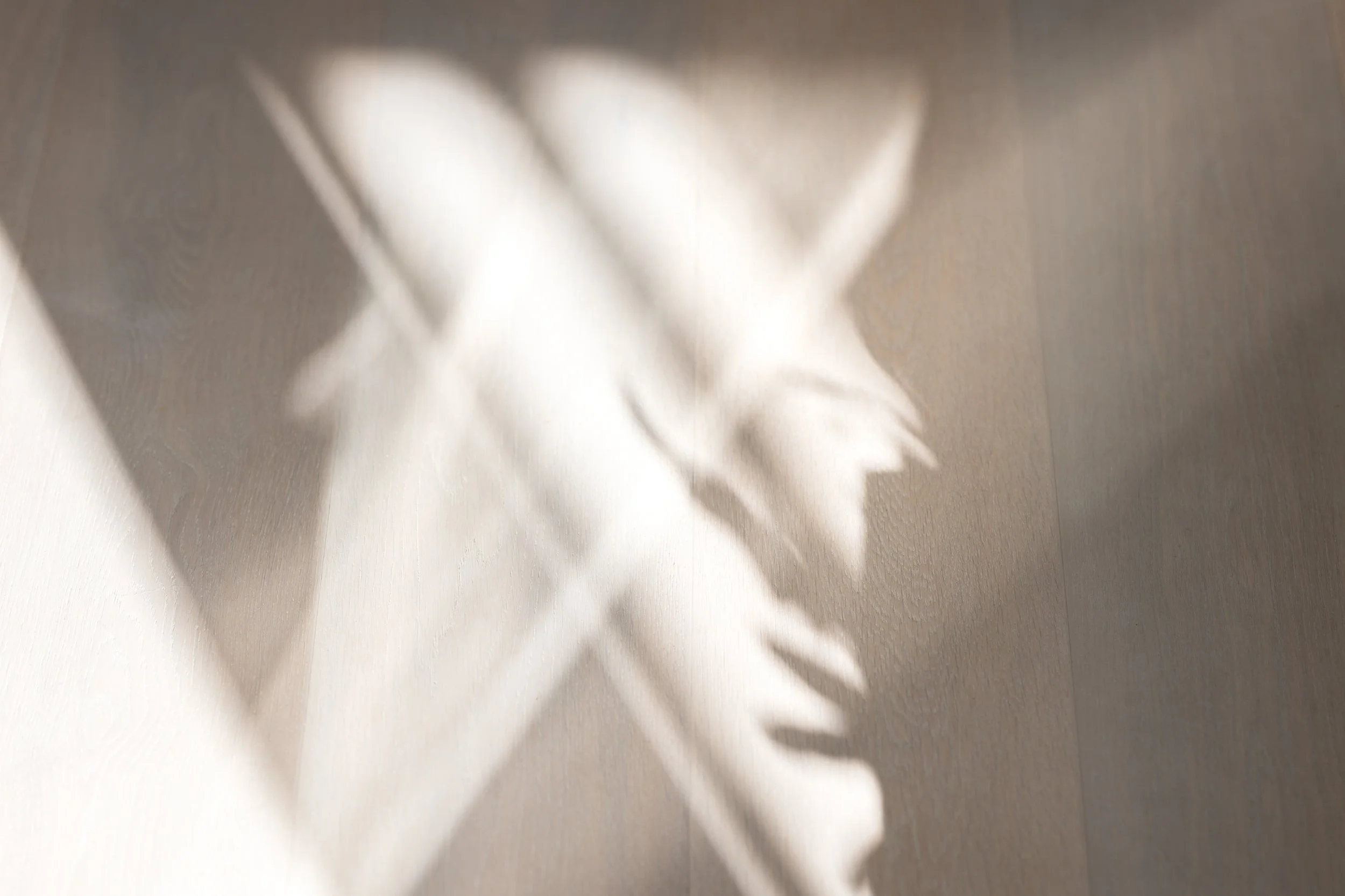 Sun rays on timber flooring