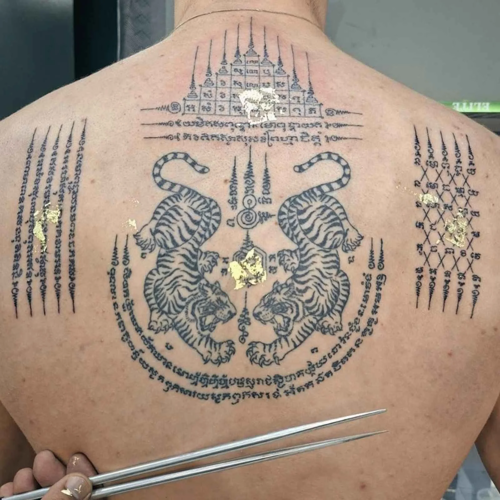 A man with a full back of sak yants