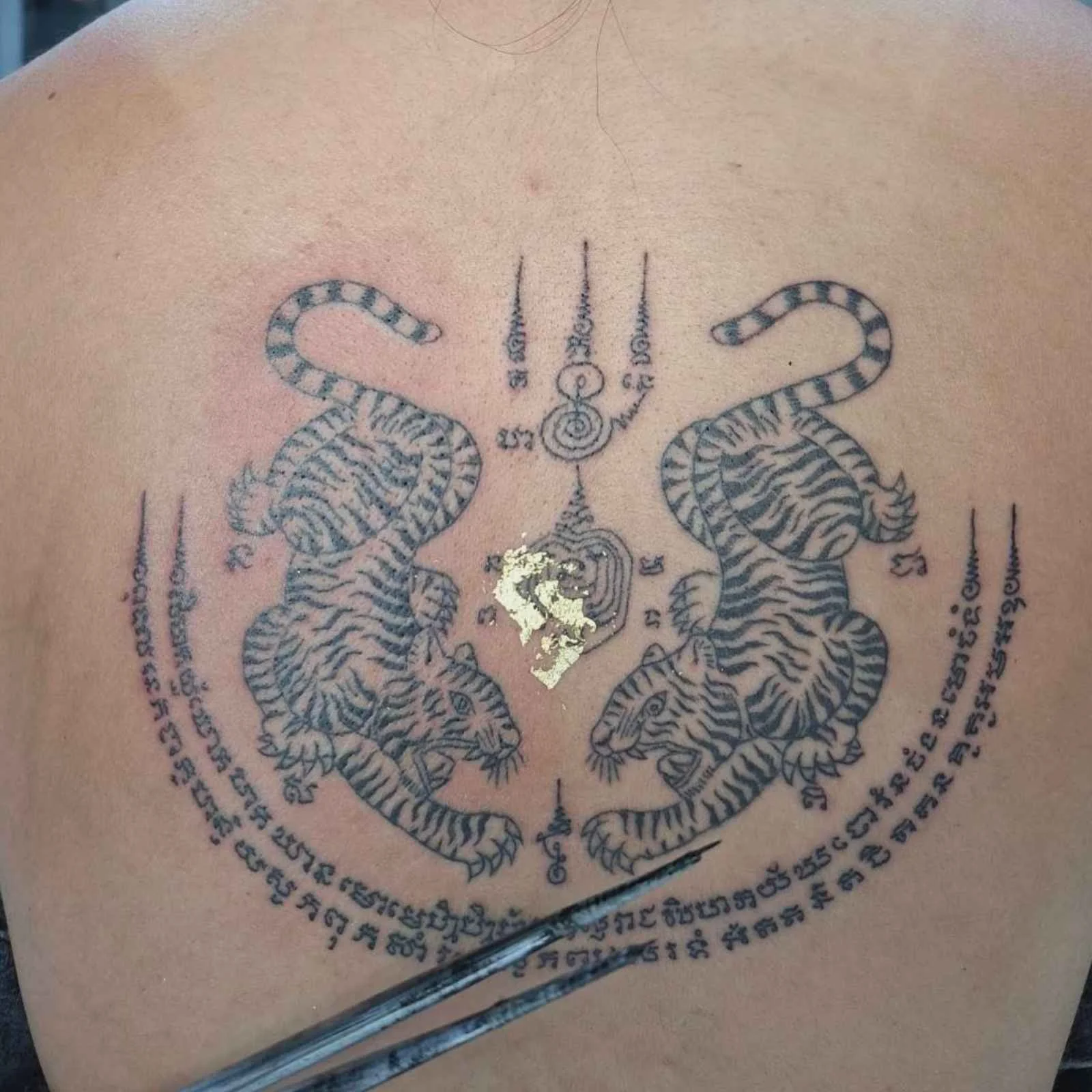 A lady with a two tigers sak yant on her back