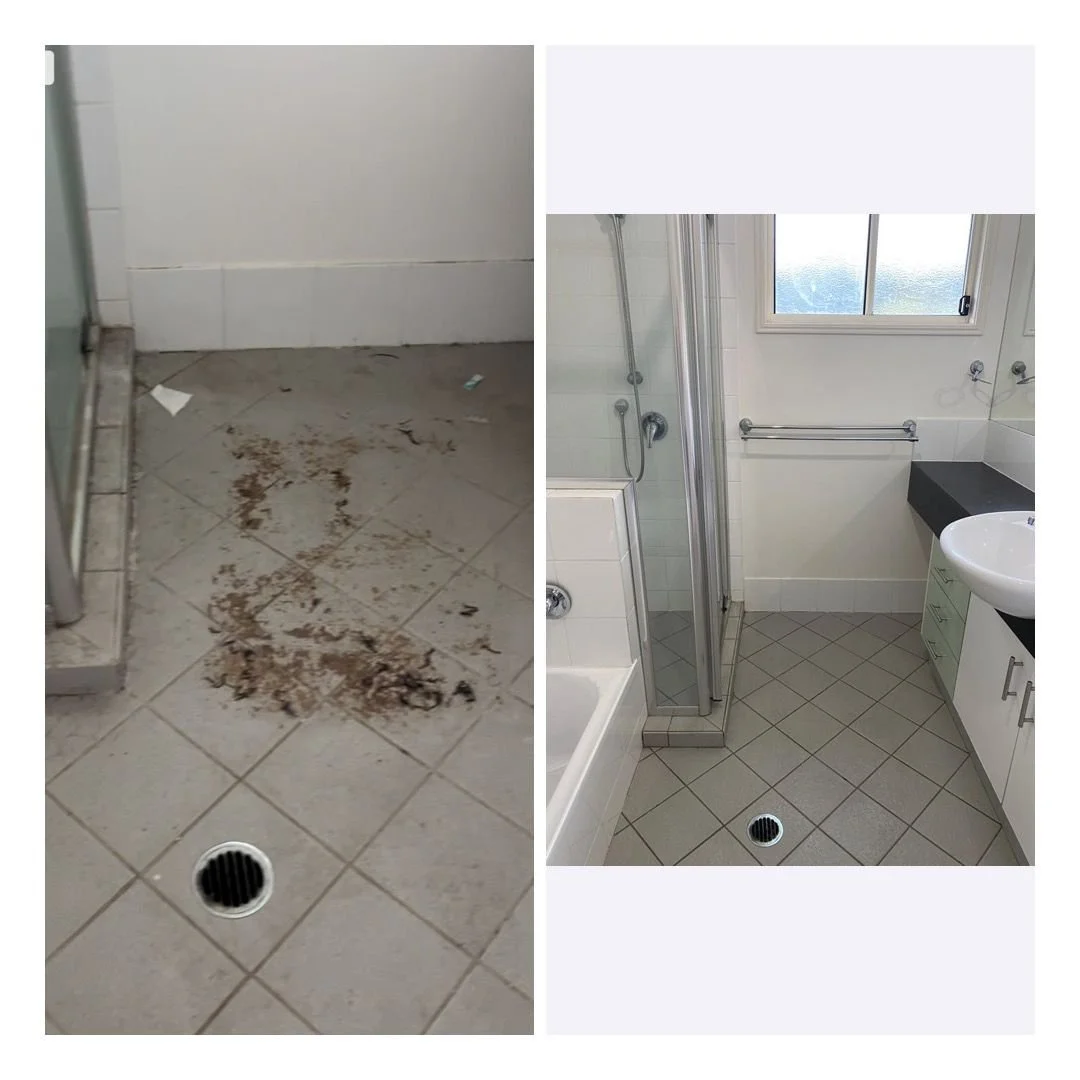 WhatsApp Image 2023-08-22 at 8.31.01 PM.jpeg