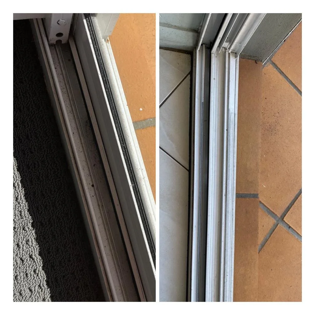 WhatsApp Image 2023-08-21 at 4.26.46 PM.jpeg