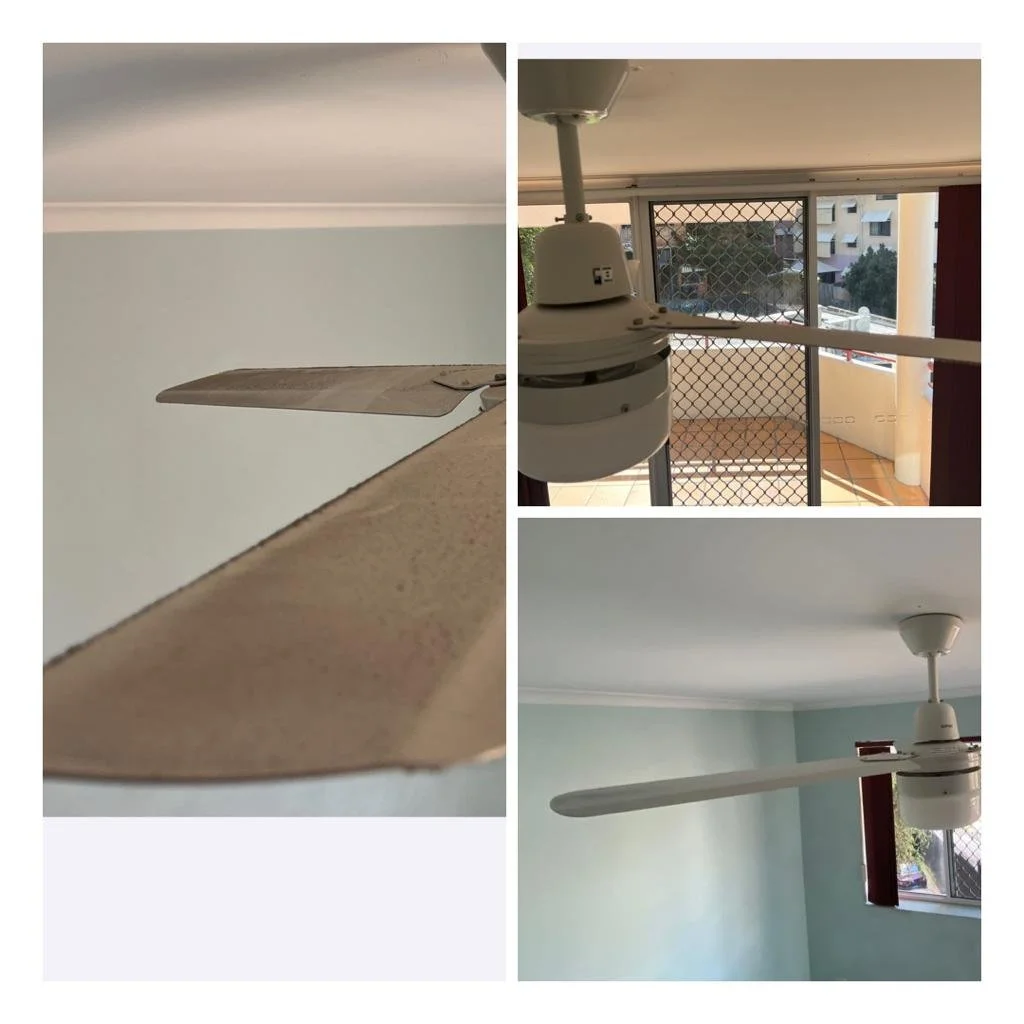 WhatsApp Image 2023-08-21 at 4.26.46 PM (1).jpeg