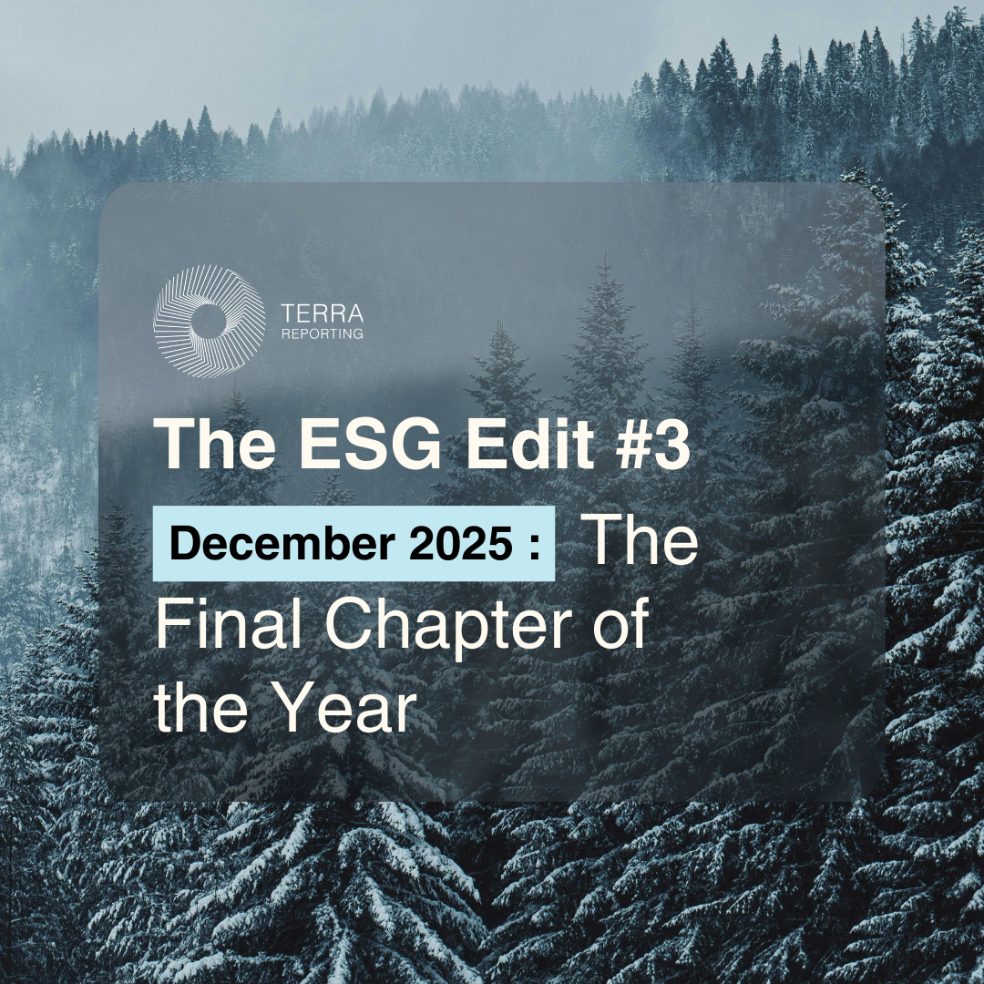 The ESG Edit #3 – December 2025: The Final Chapter of the Year