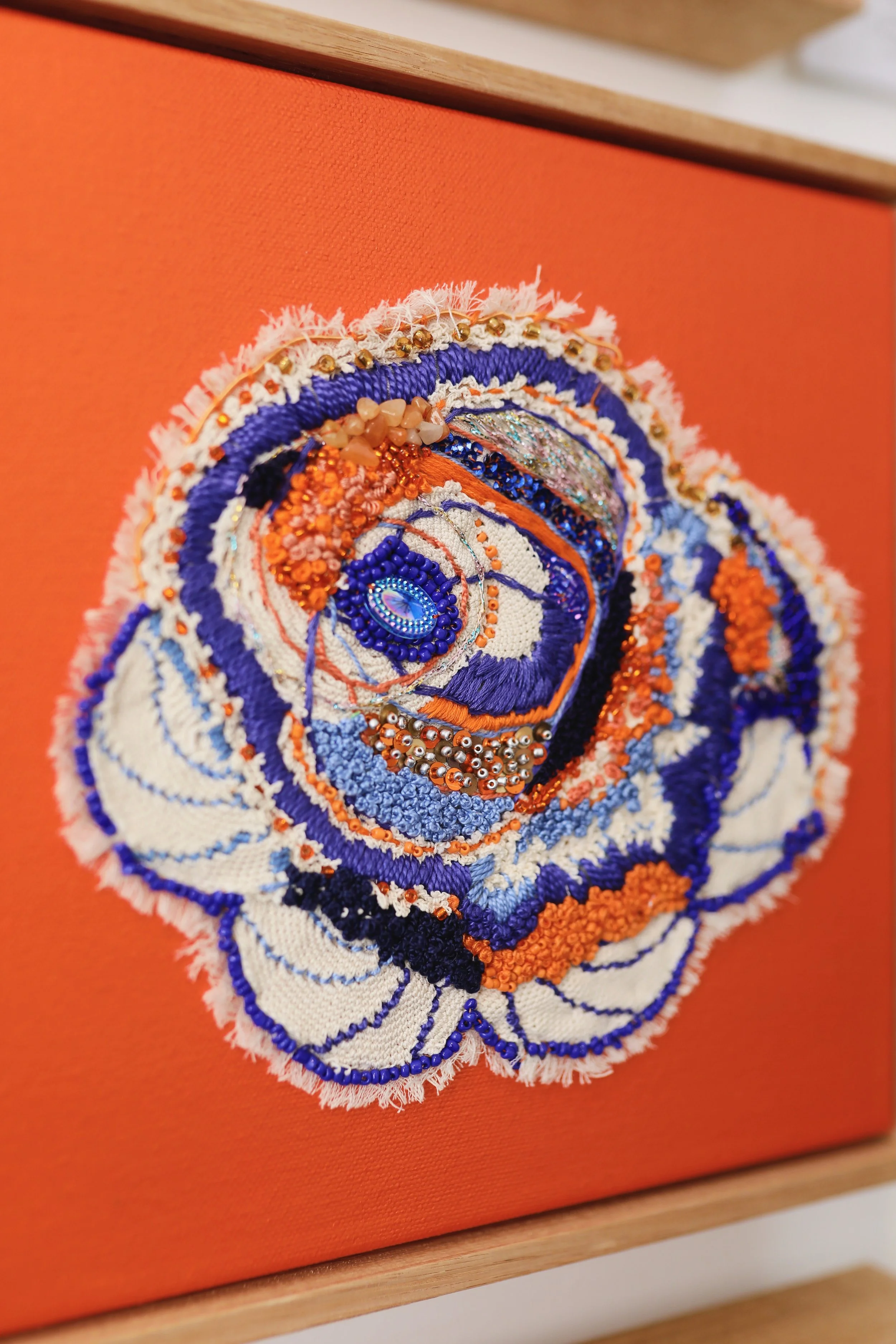 Solstice Eye angled.jpeg