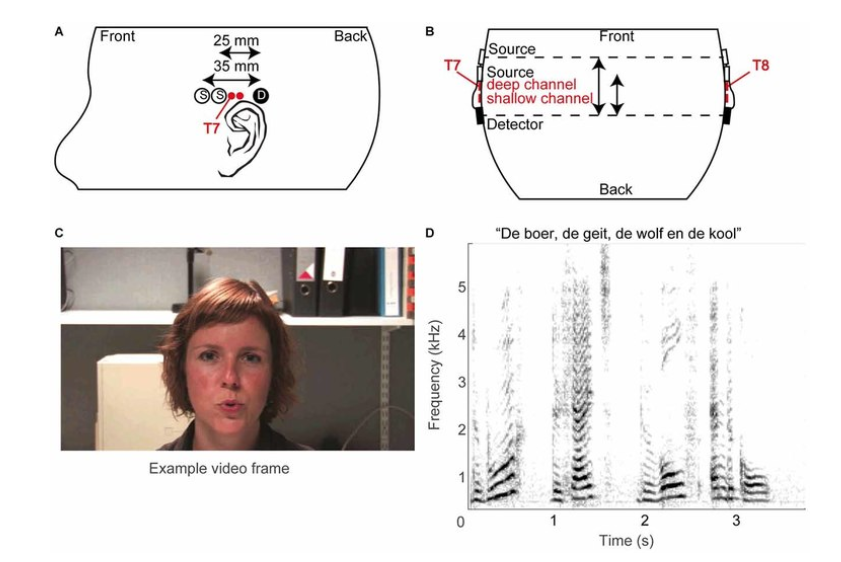 Auditory research with NIRS: an interview with dr. Marc van Wanrooij