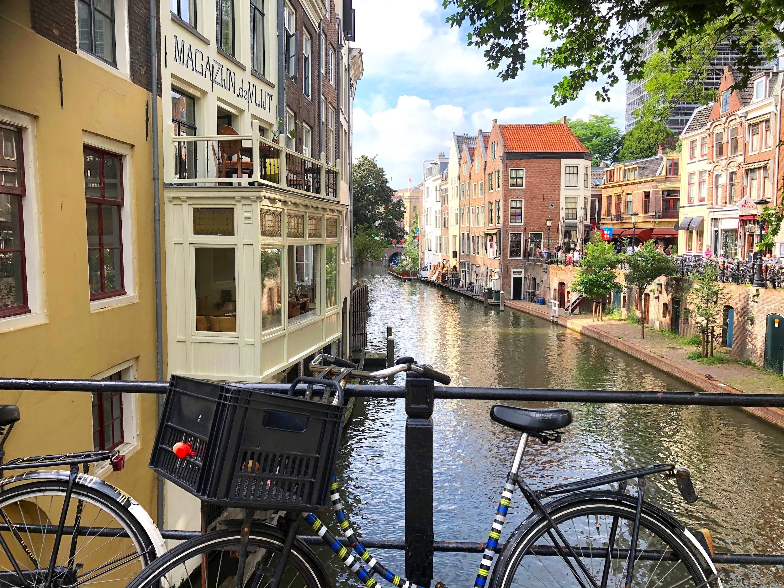ISDP 2023: International Society for Developmental Psychobiology Annual Meeting