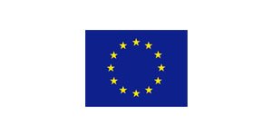 european flag.jpg