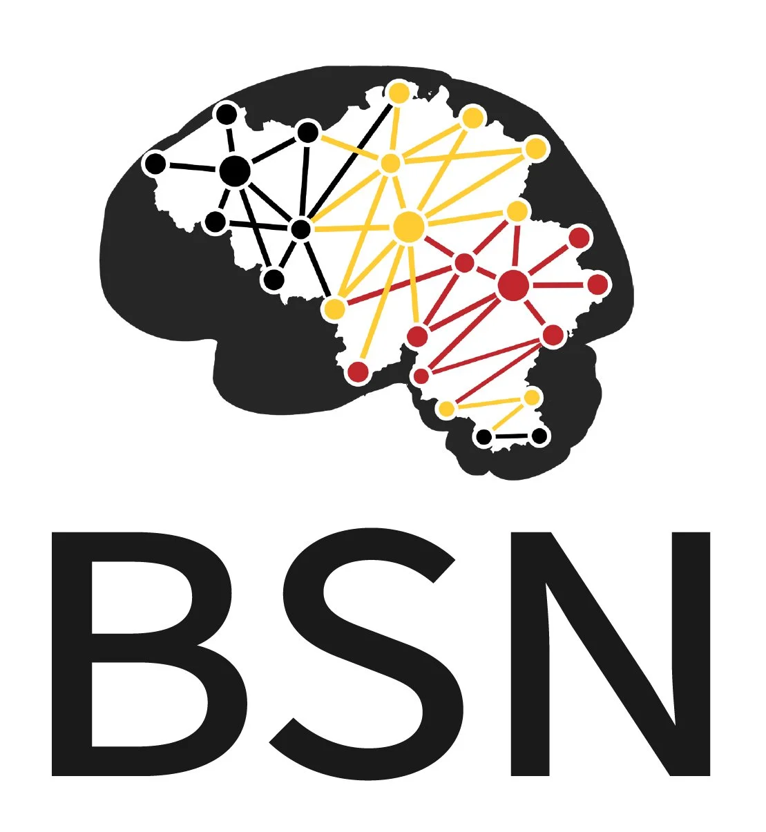 BSN Meeting 2025