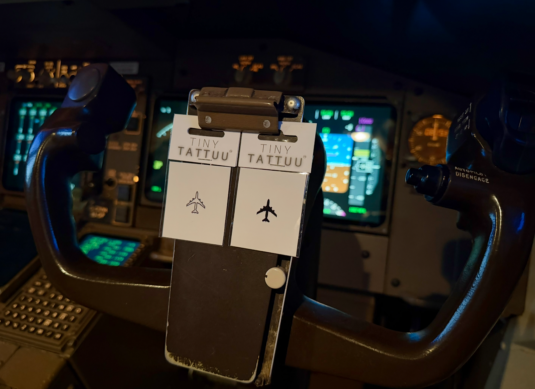 Temporary 747-400 ’Tiny Tattuu’