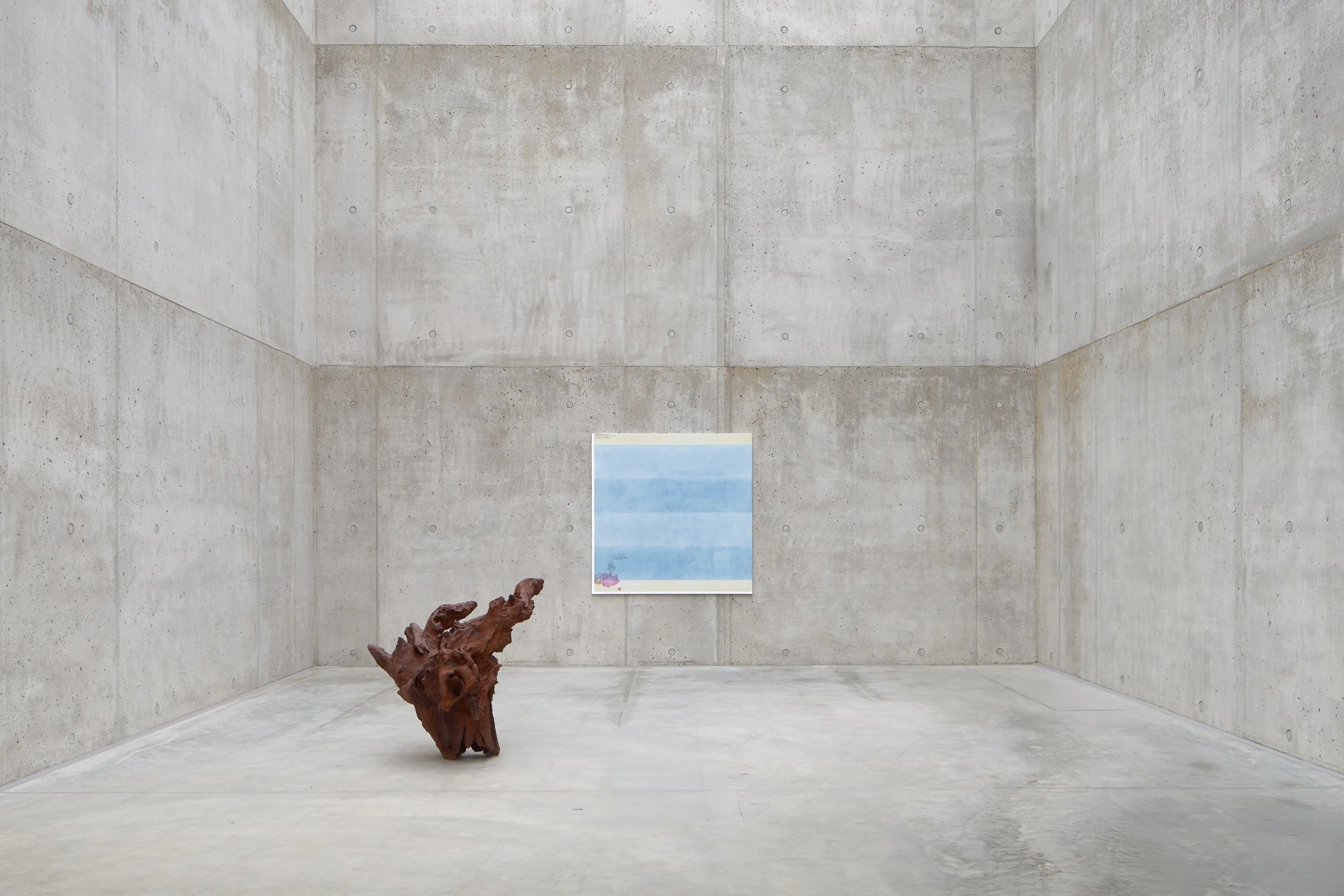 Ausstellungsansicht-Ai-Weiwei-Evelyn-Taocheng-Wang