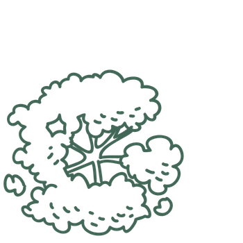 Tree Space Consulting Tree Lopping Services