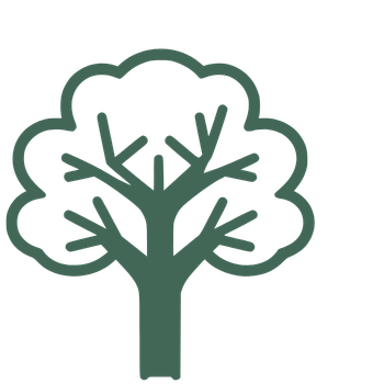 Tree Space Consulting Tree Lopping Services