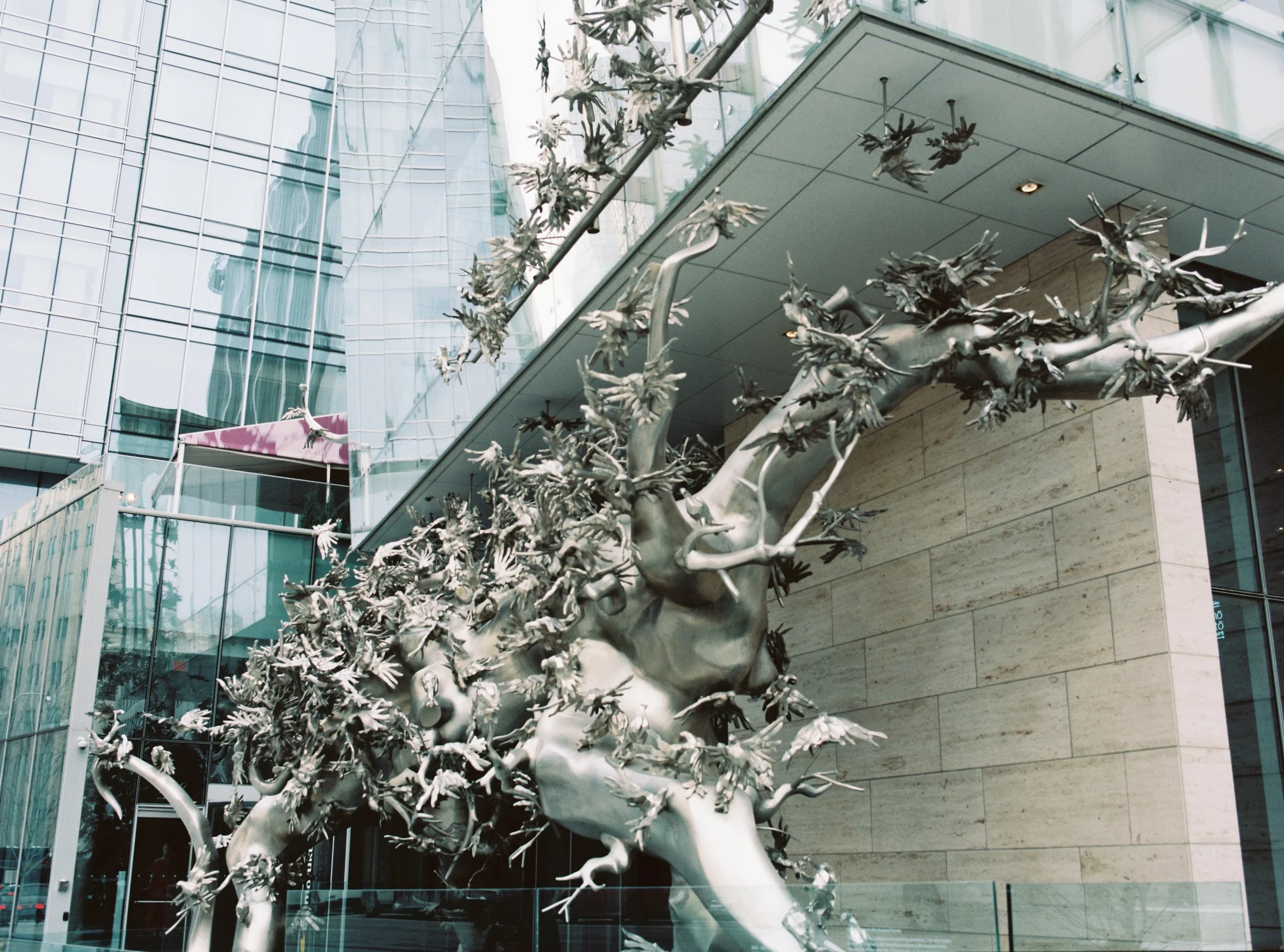 000004 (1)-Edit.jpg
