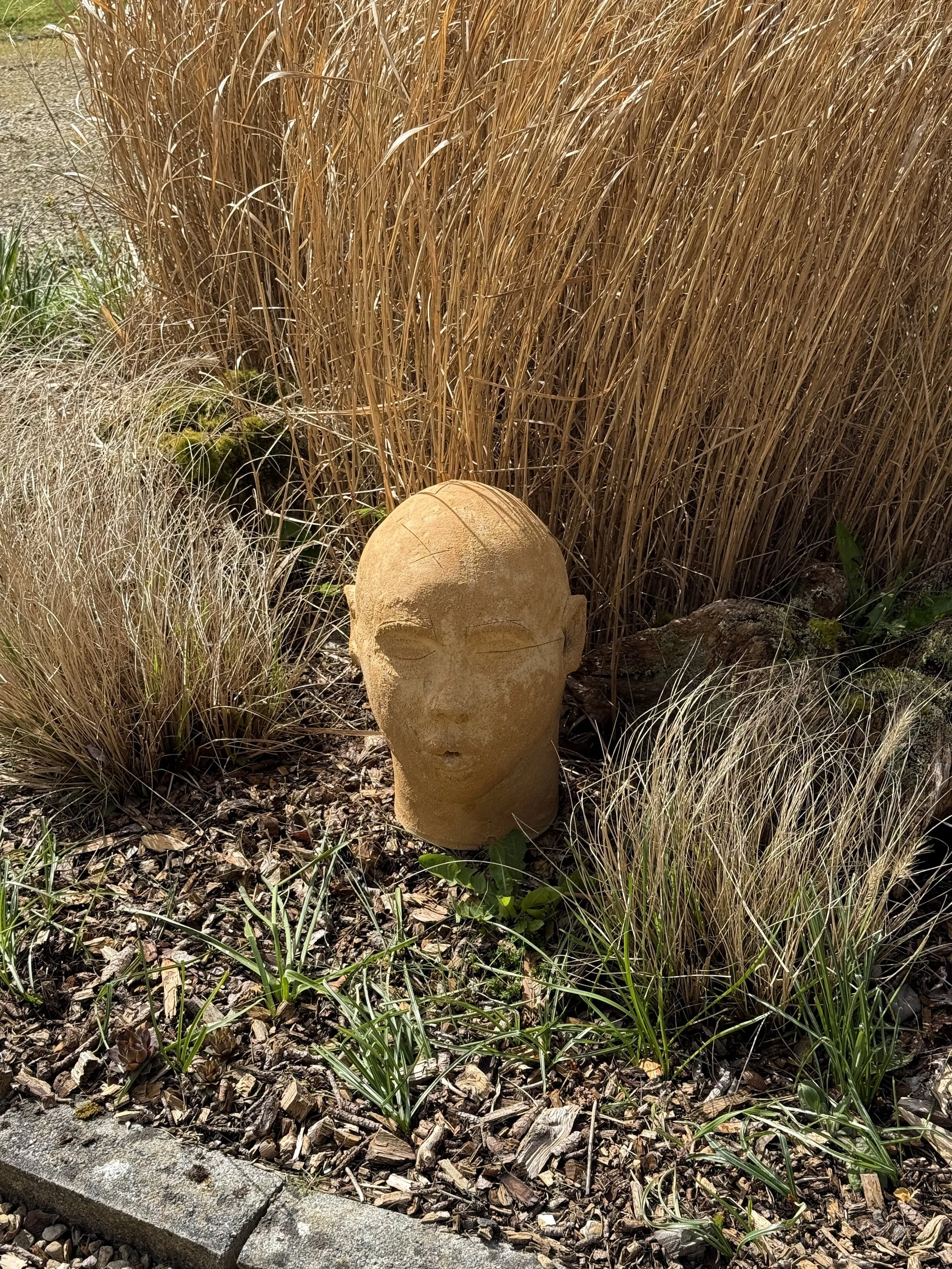 Tawny Phillips - yellow coiled head in garden.JPG