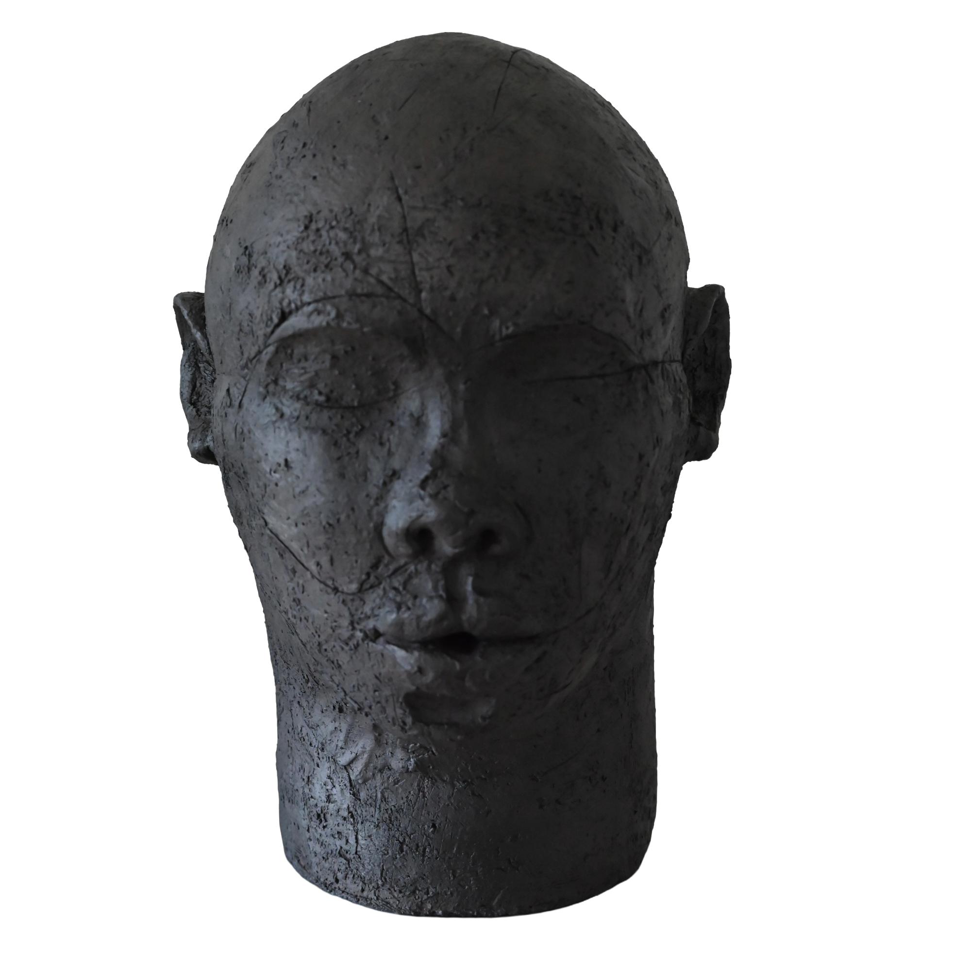 Tawny Phillips - large coiled male head.png