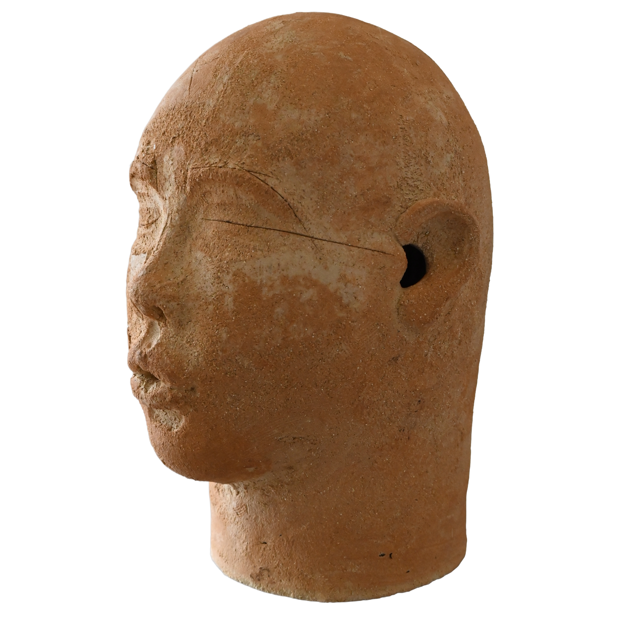 Tawny Phillips - coiled large head commission.png